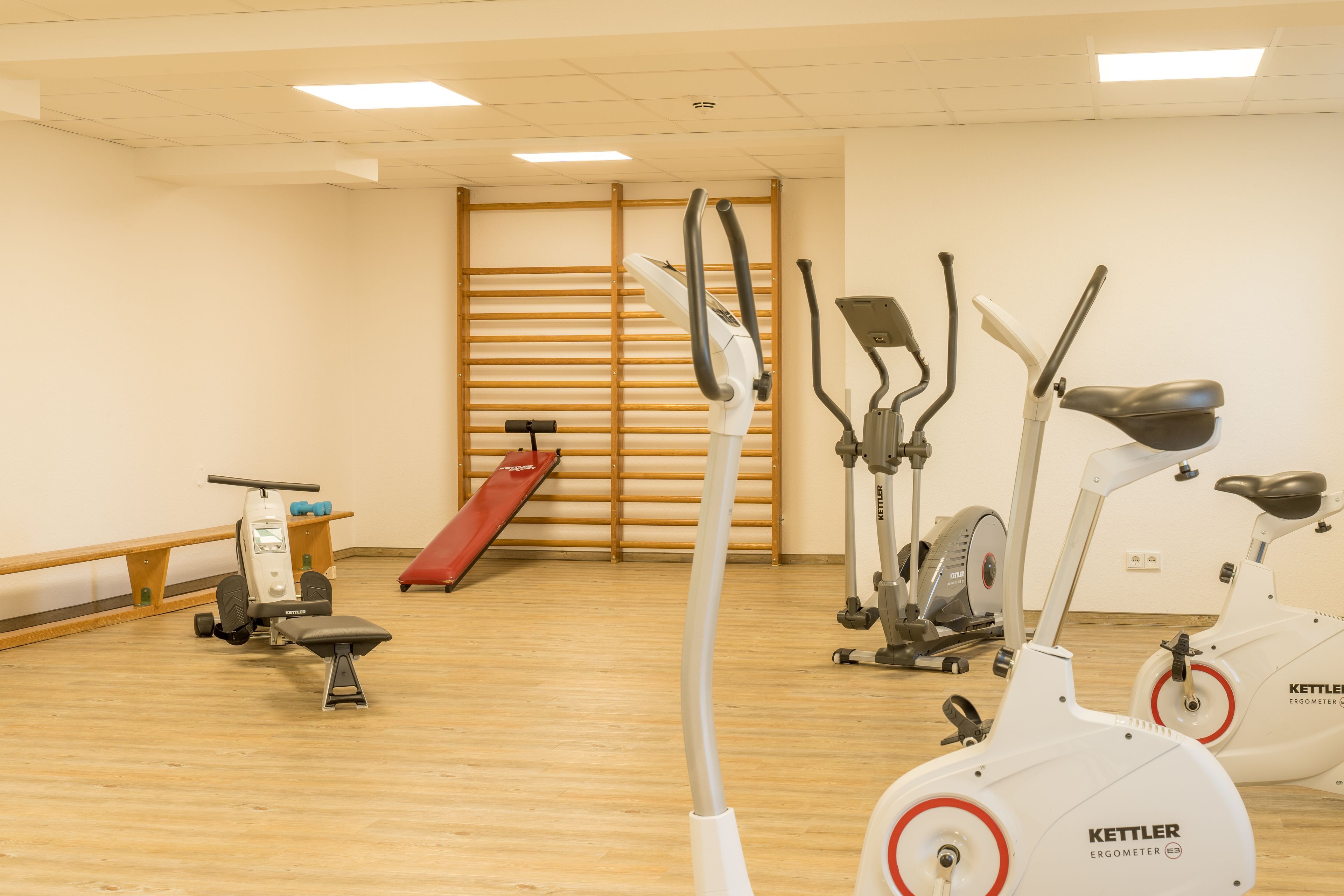 Wellness