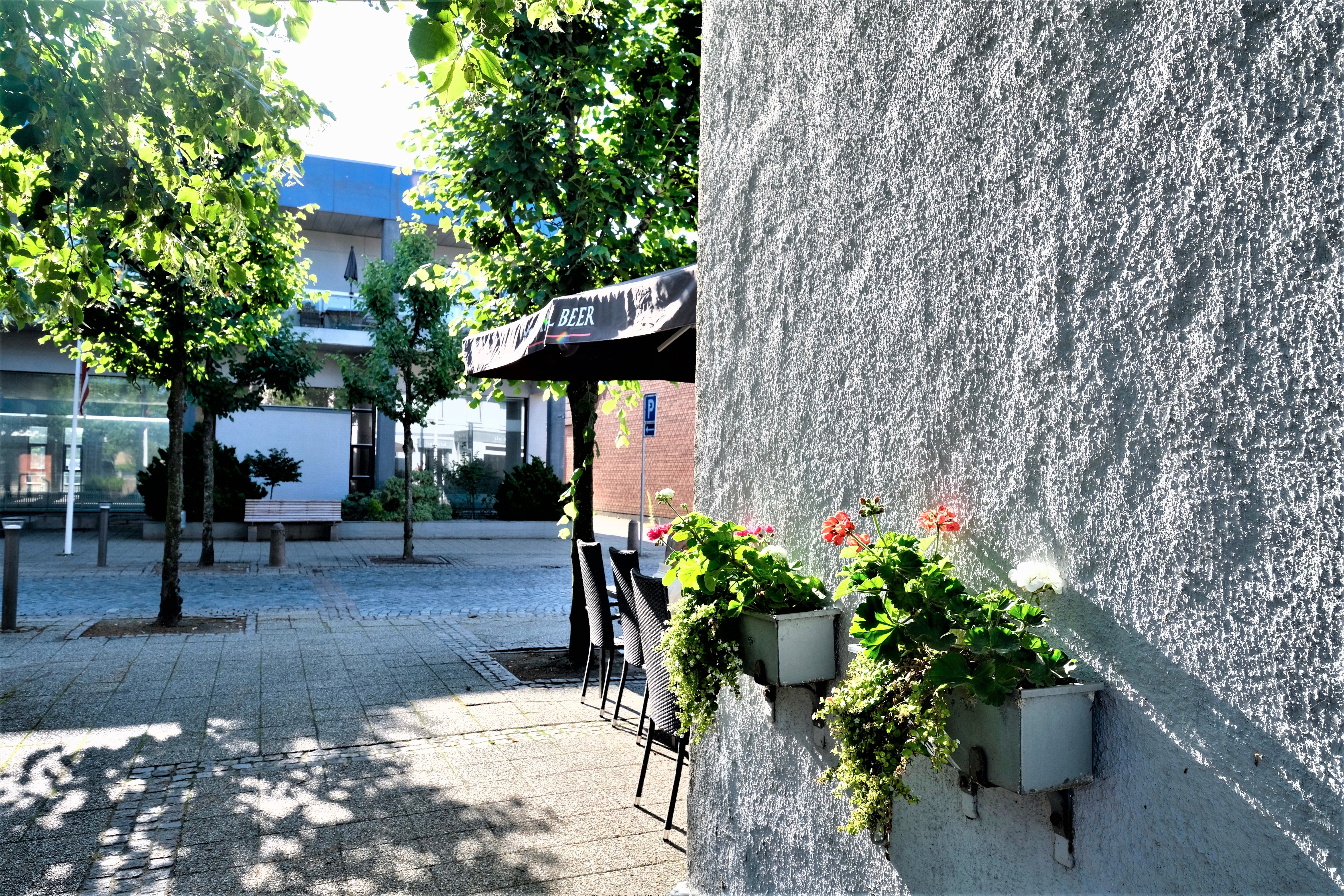 Omgeving