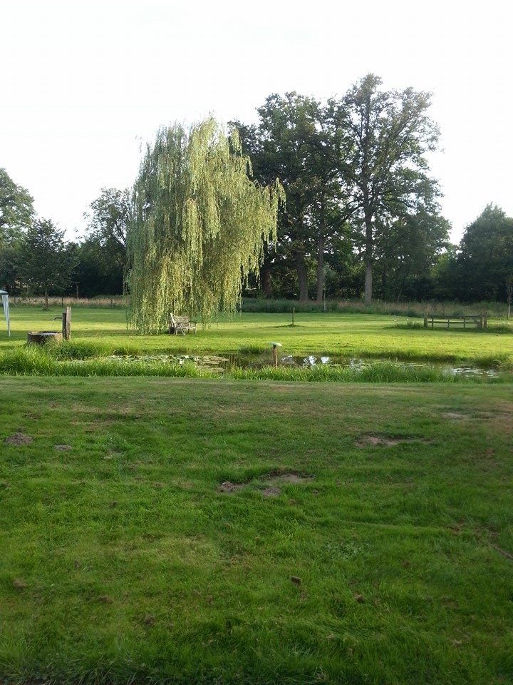 Omgeving