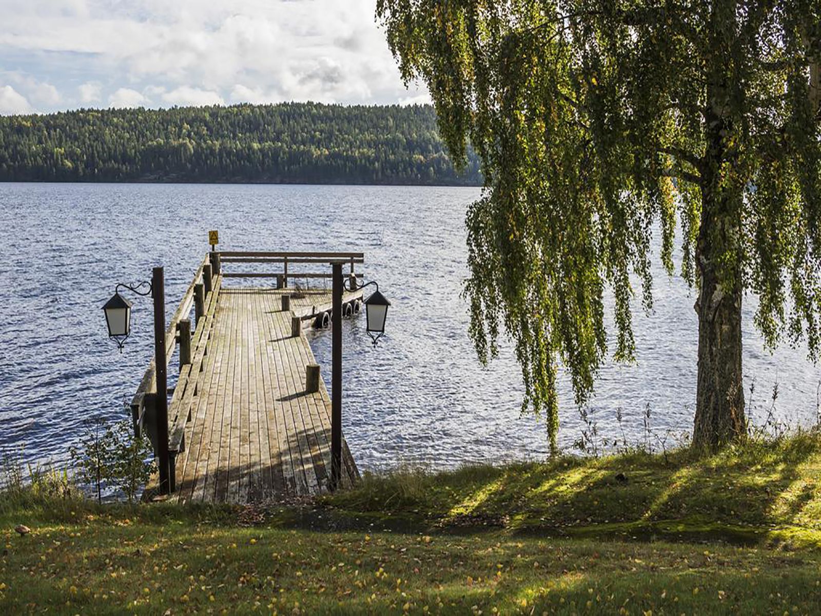 Omgeving