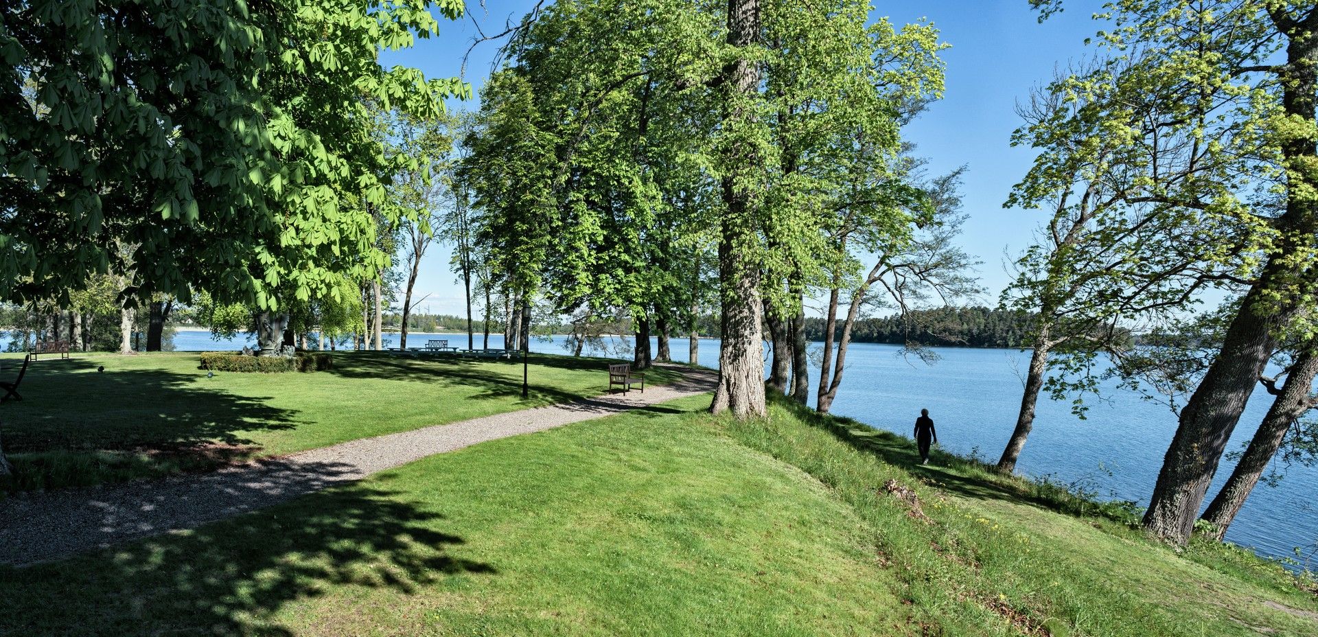 Omgeving