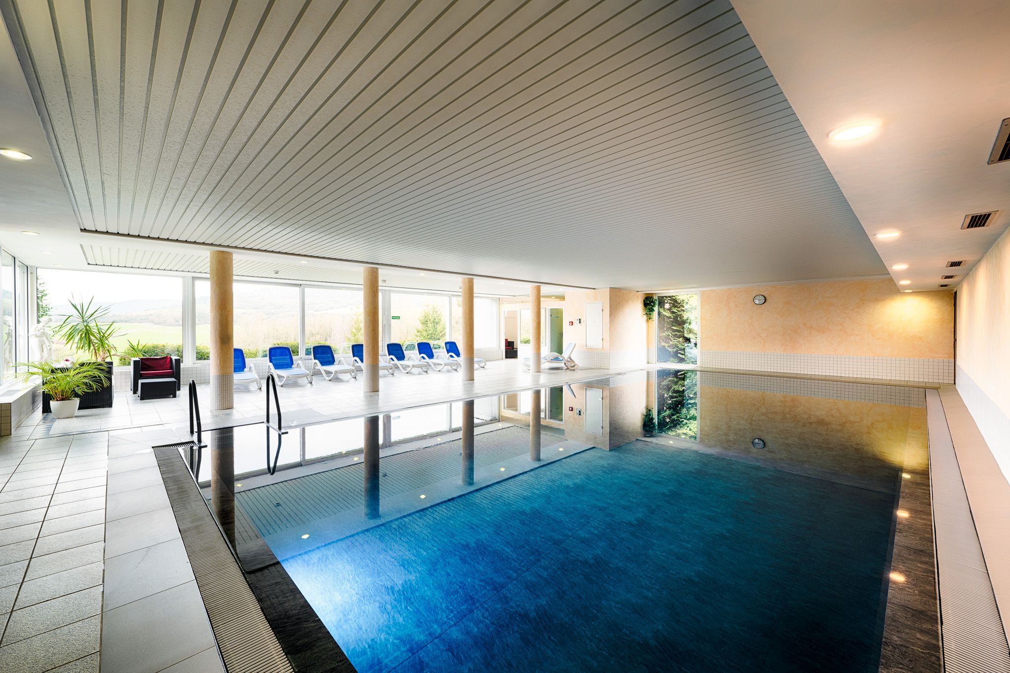 Wellness