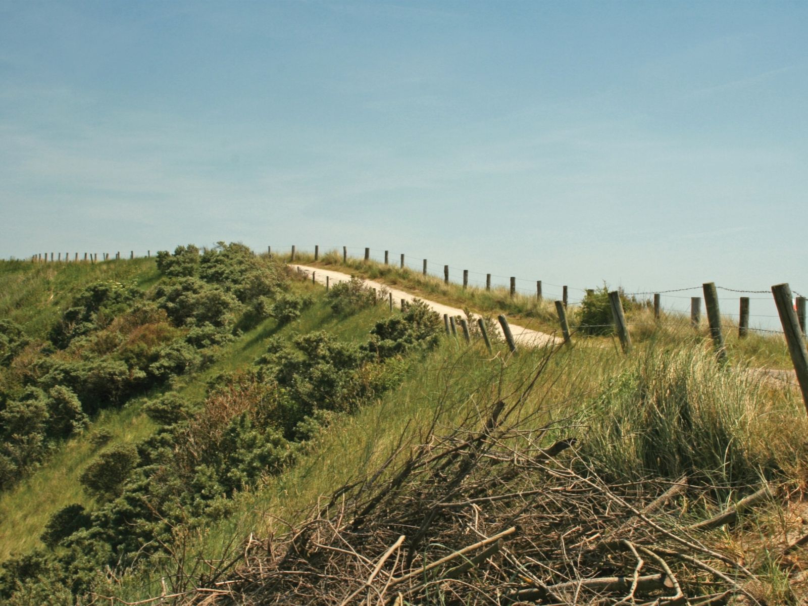 Omgeving