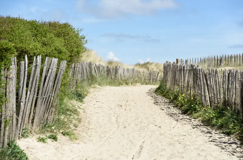Omgeving