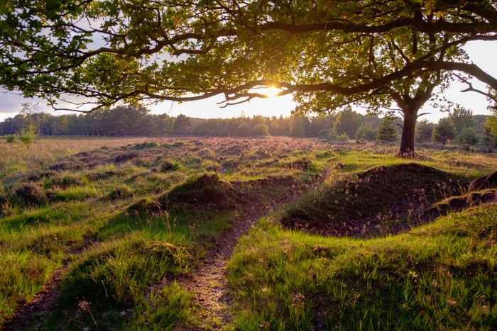 Hotels in Drenthe