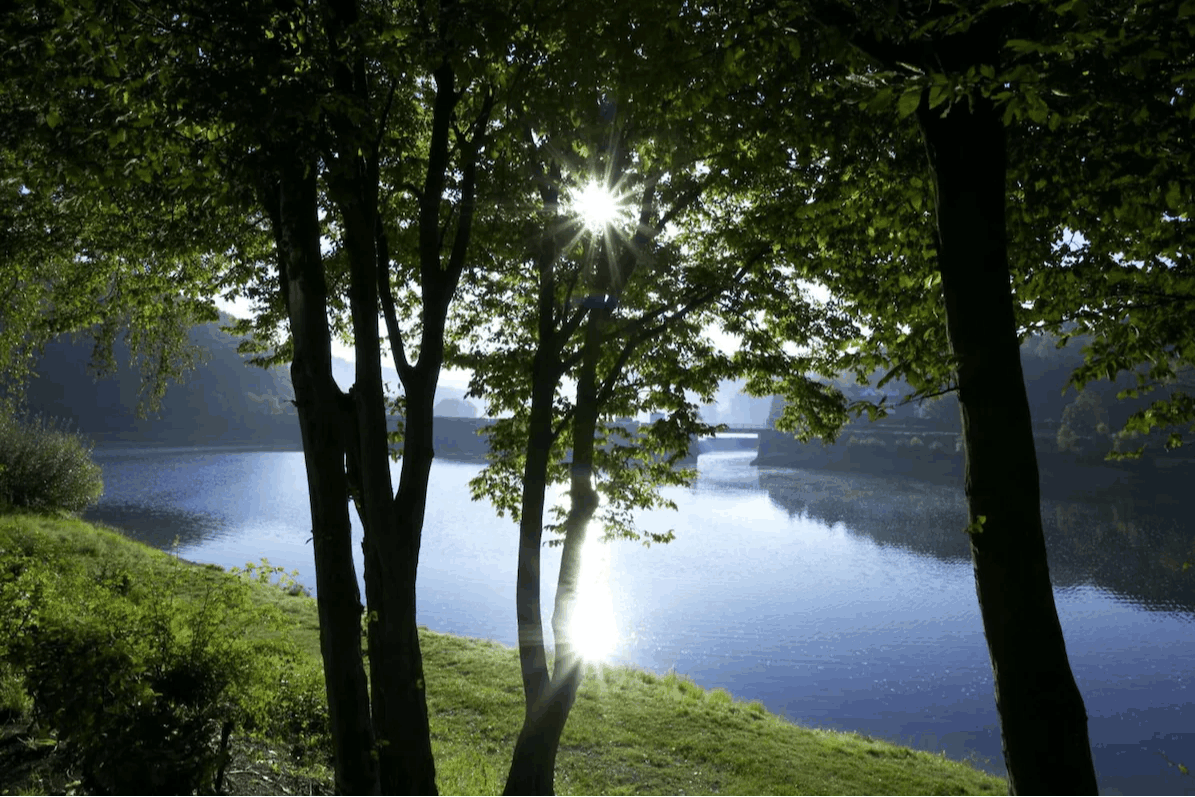 Omgeving