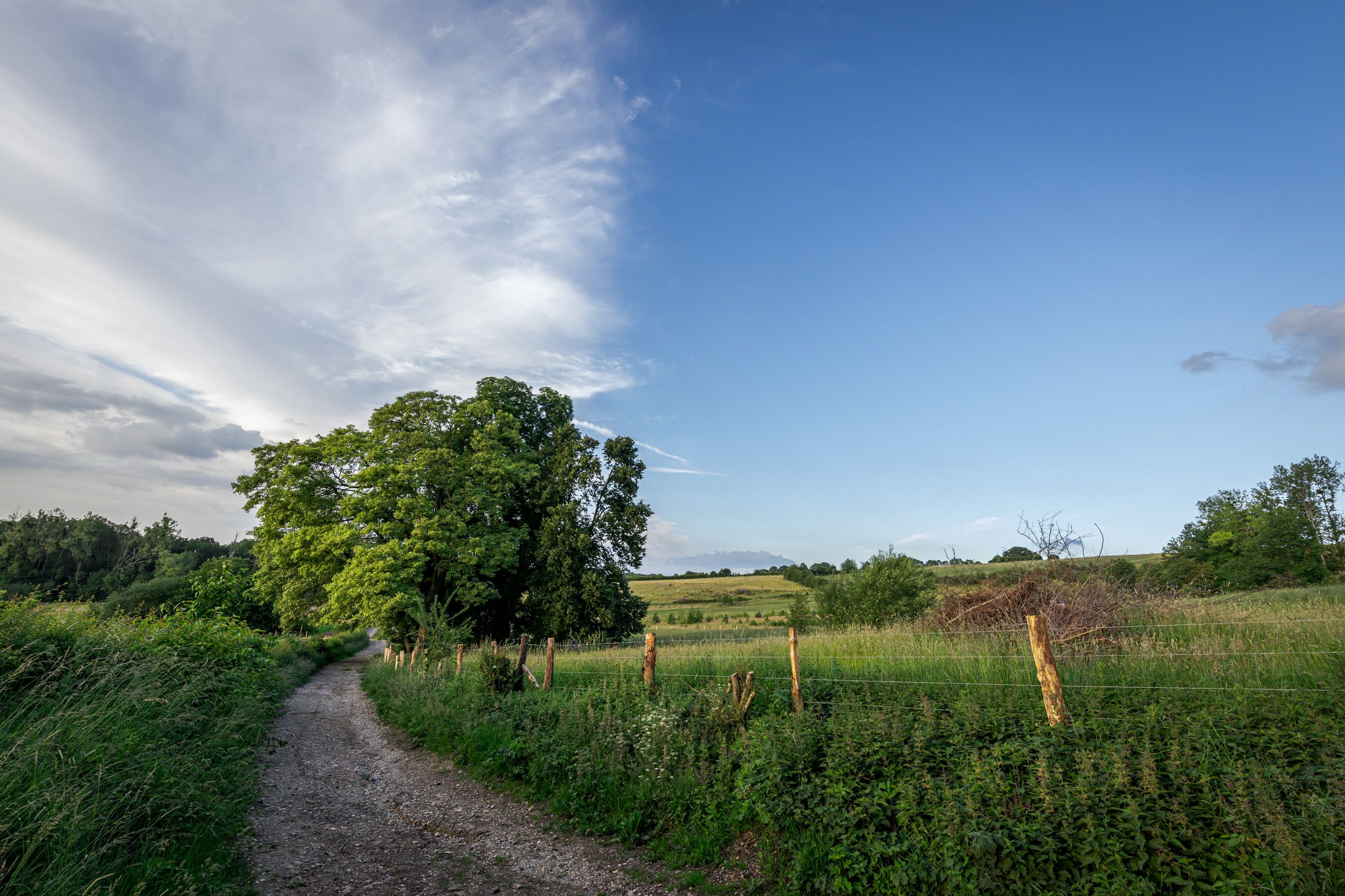 Omgeving