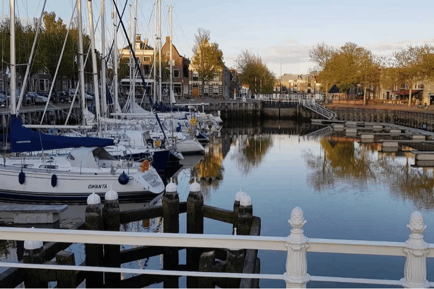 Omgeving