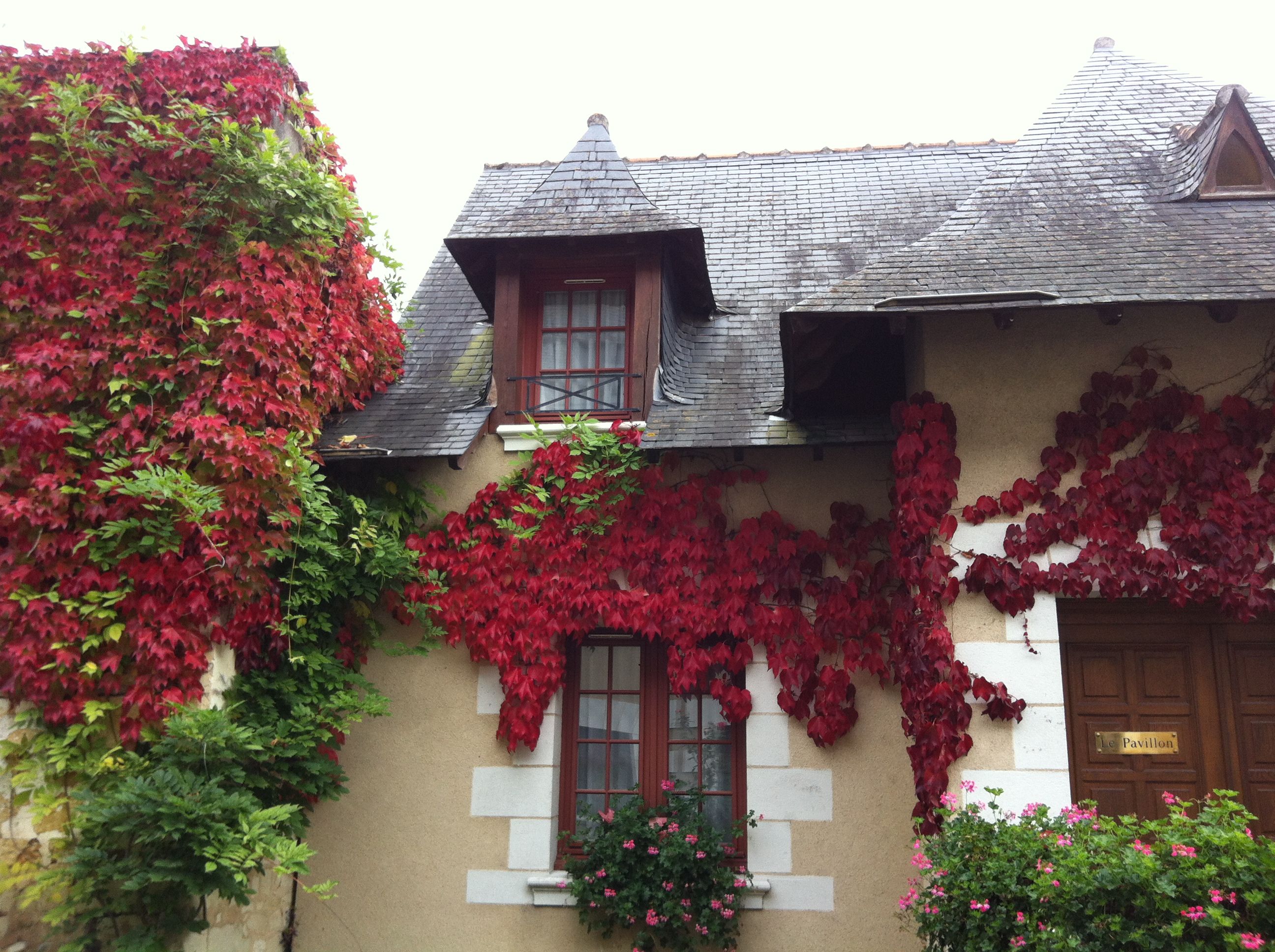 accommodatie