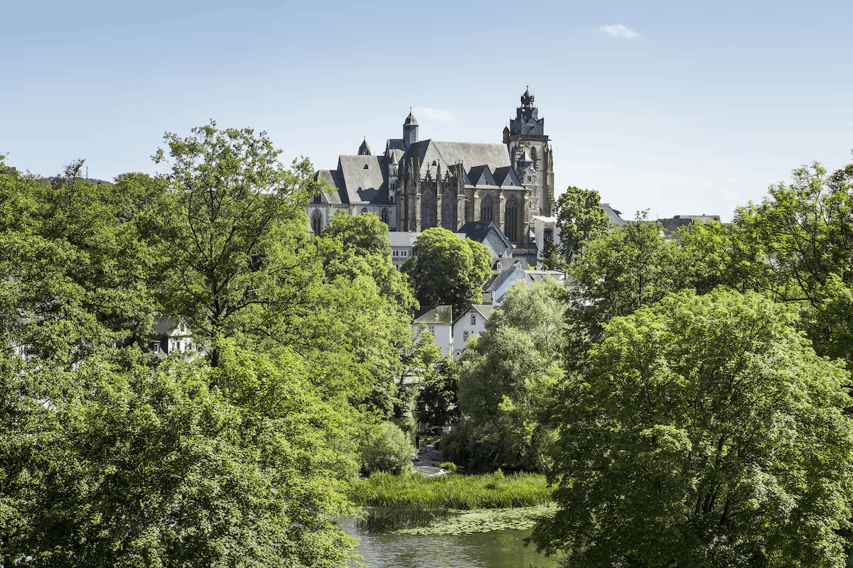 Omgeving
