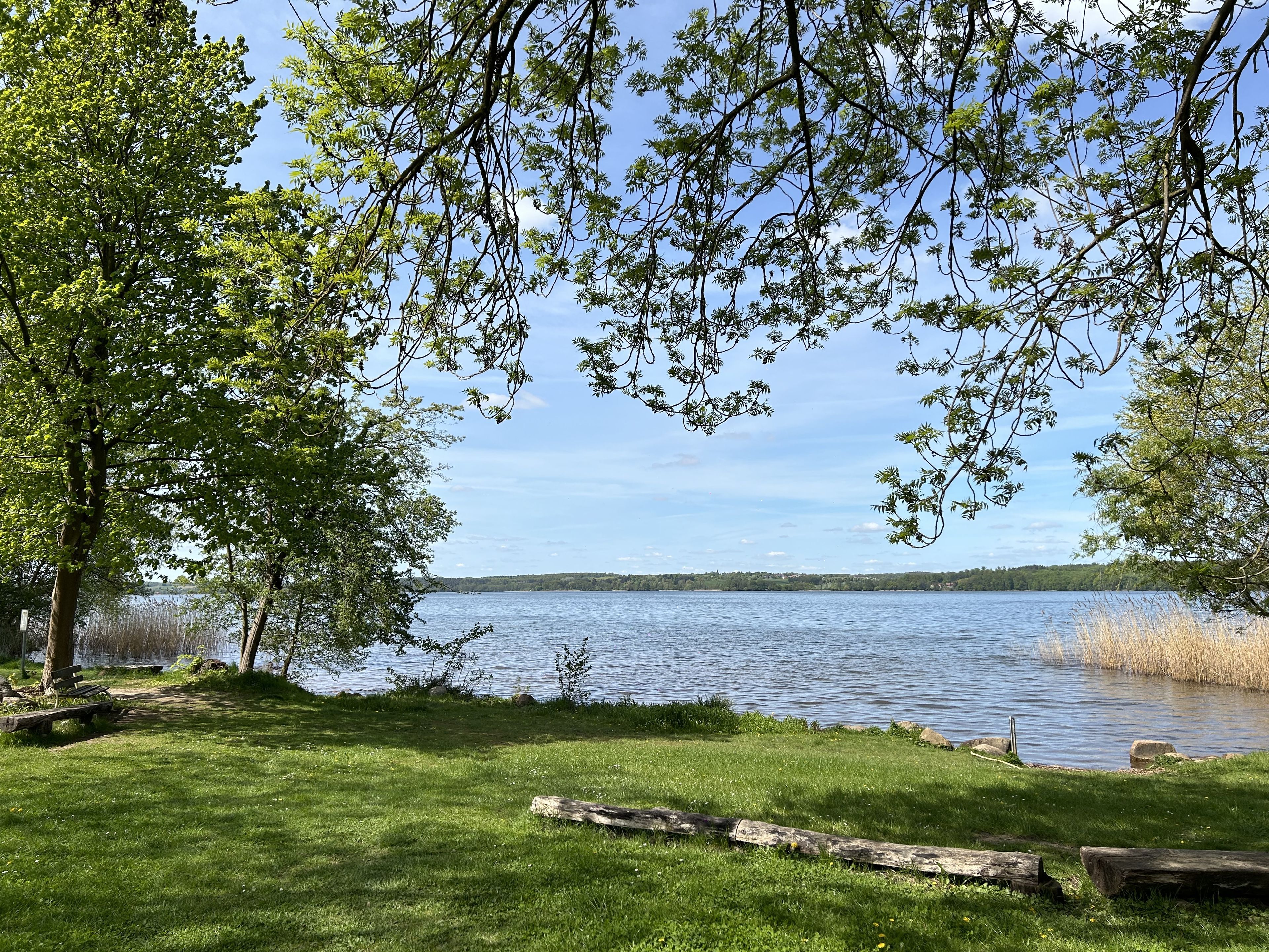 Omgeving