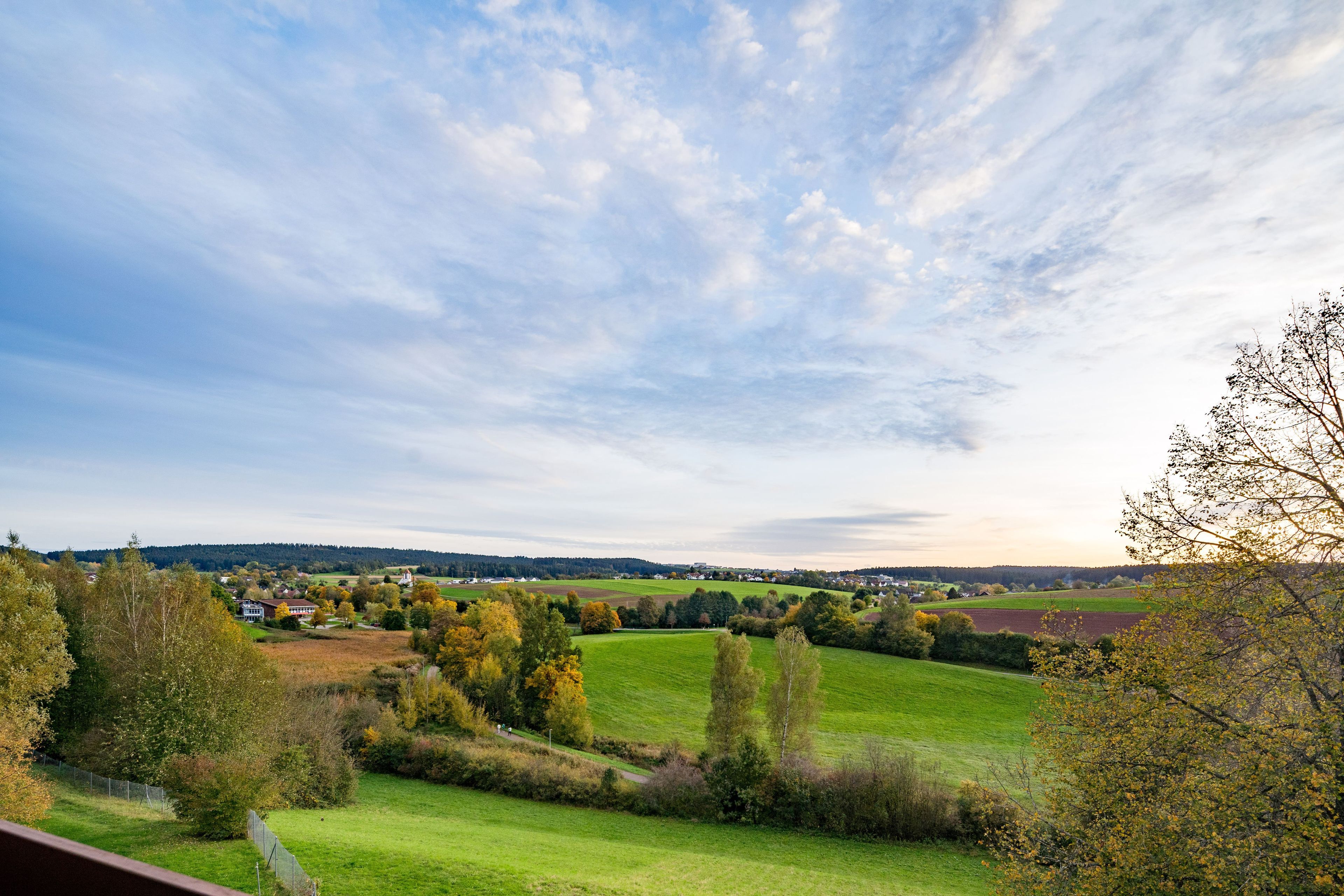 Omgeving