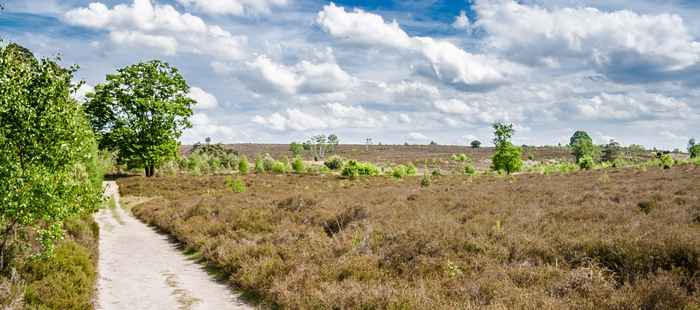 Hotels in Twente