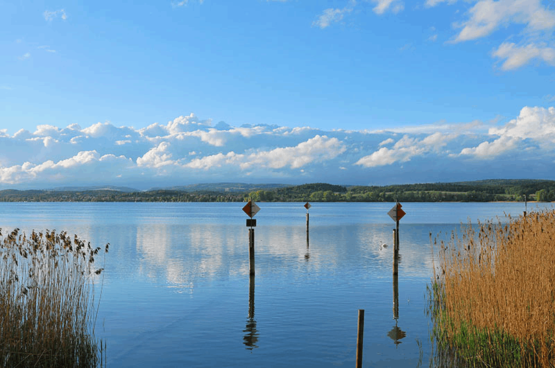 Omgeving
