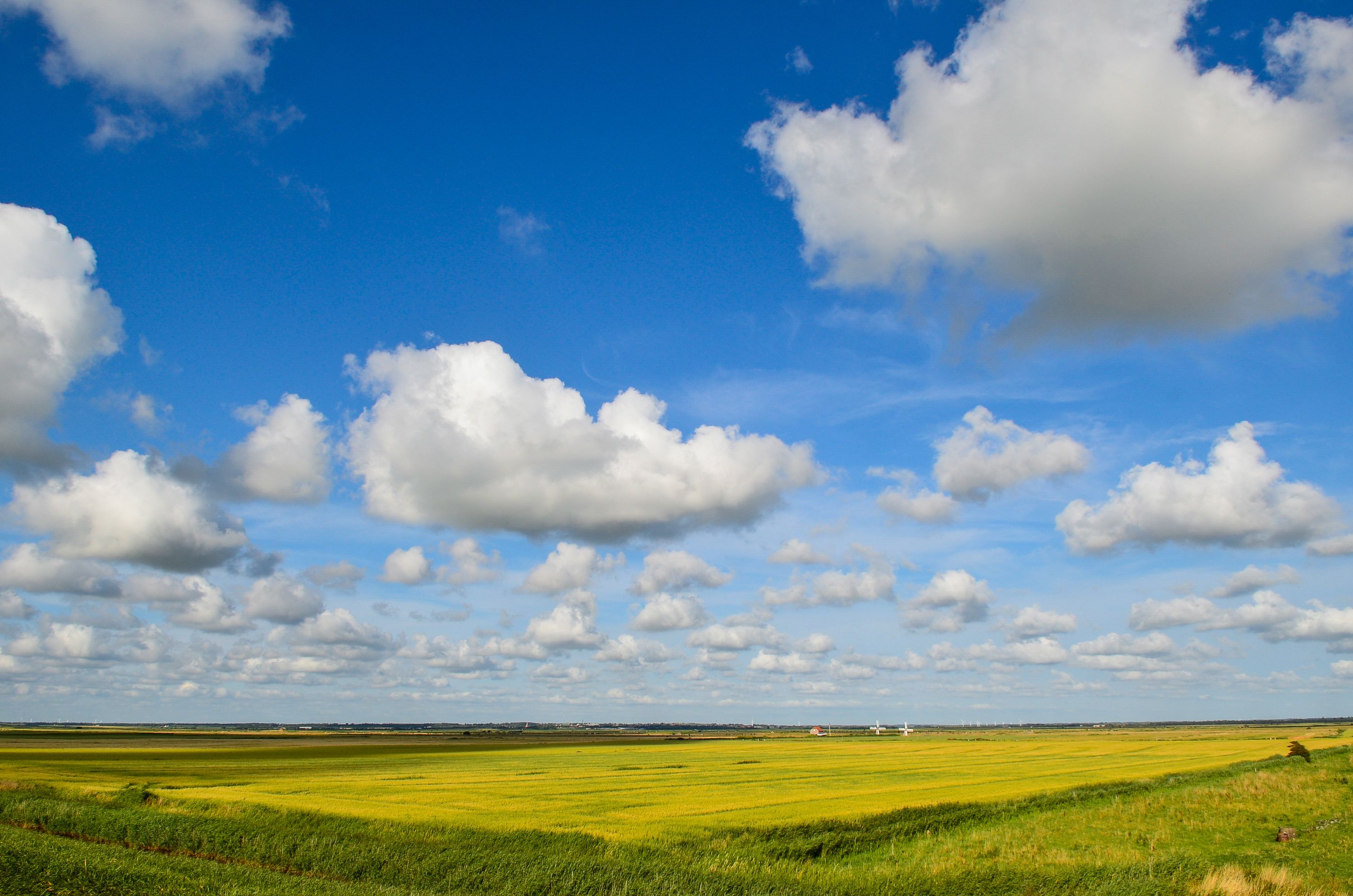 Omgeving