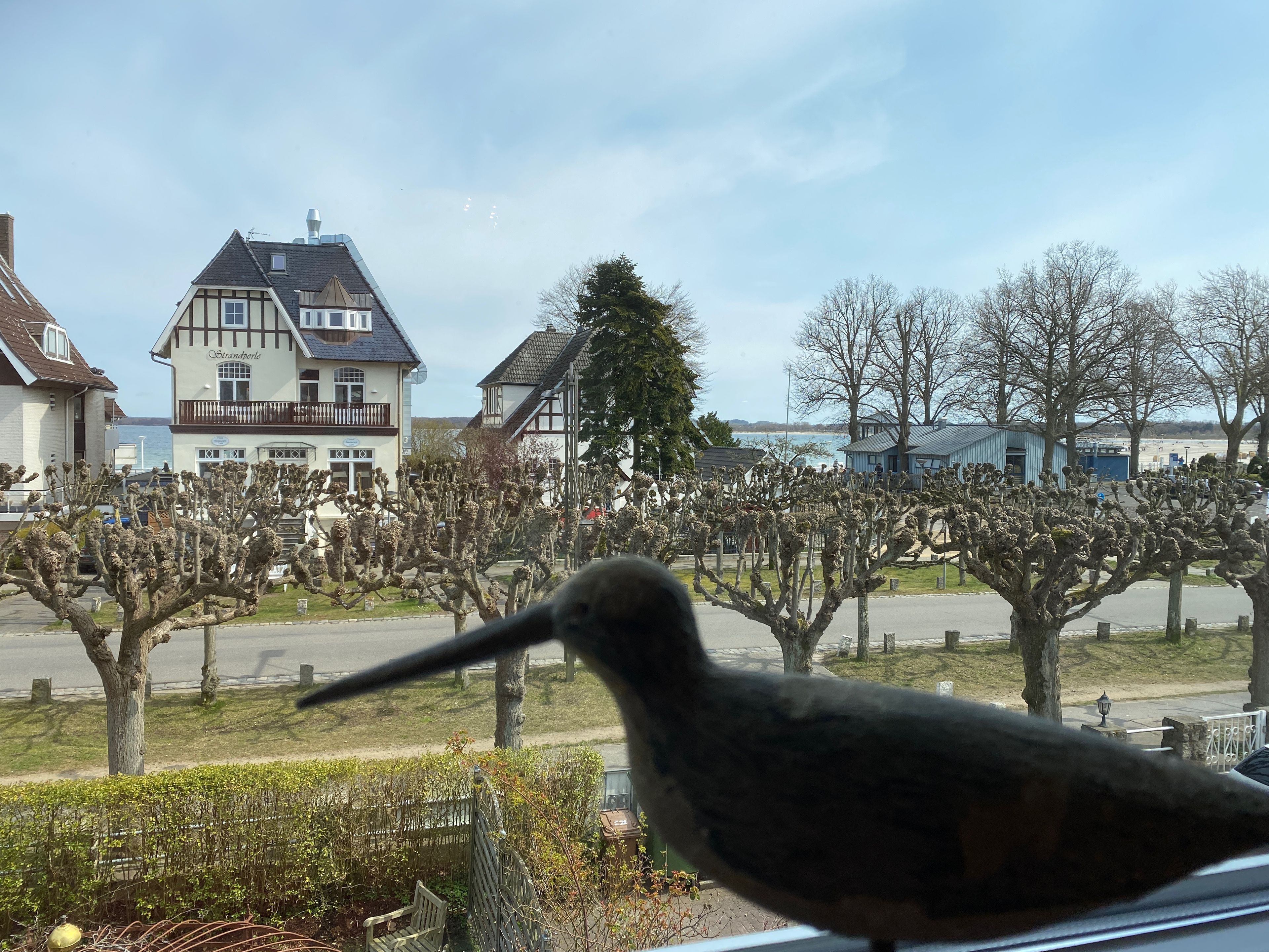 Omgeving