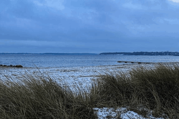 Omgeving