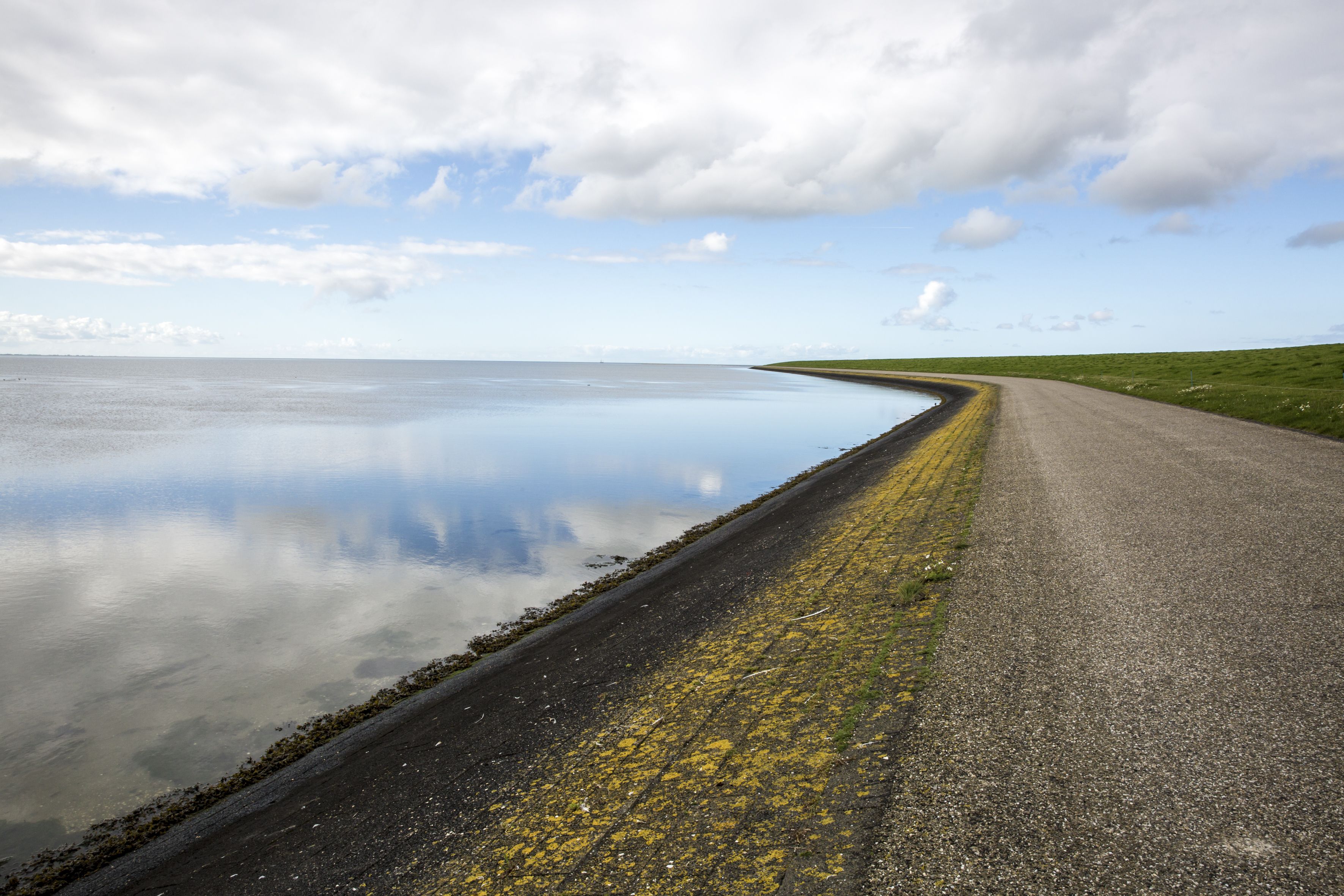 Omgeving