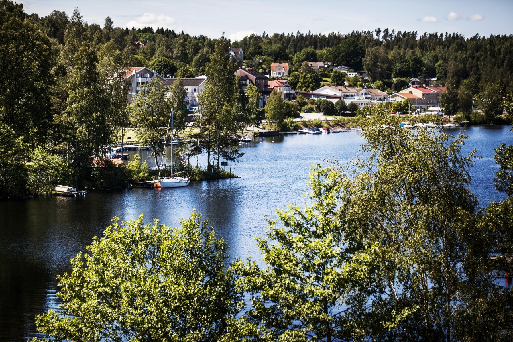 Omgeving