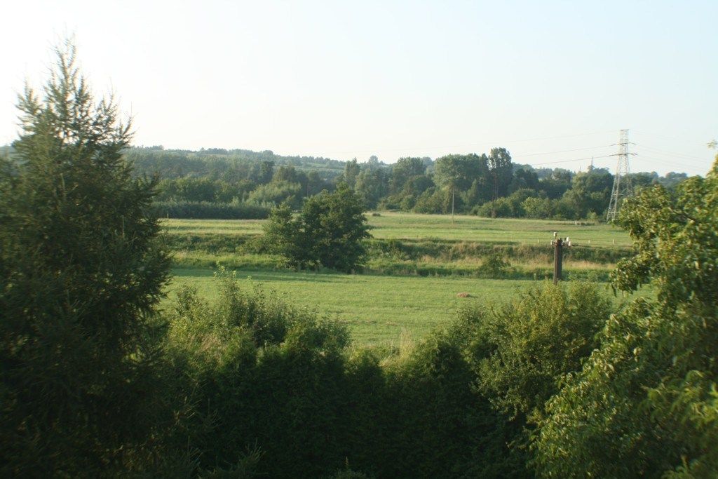 Omgeving