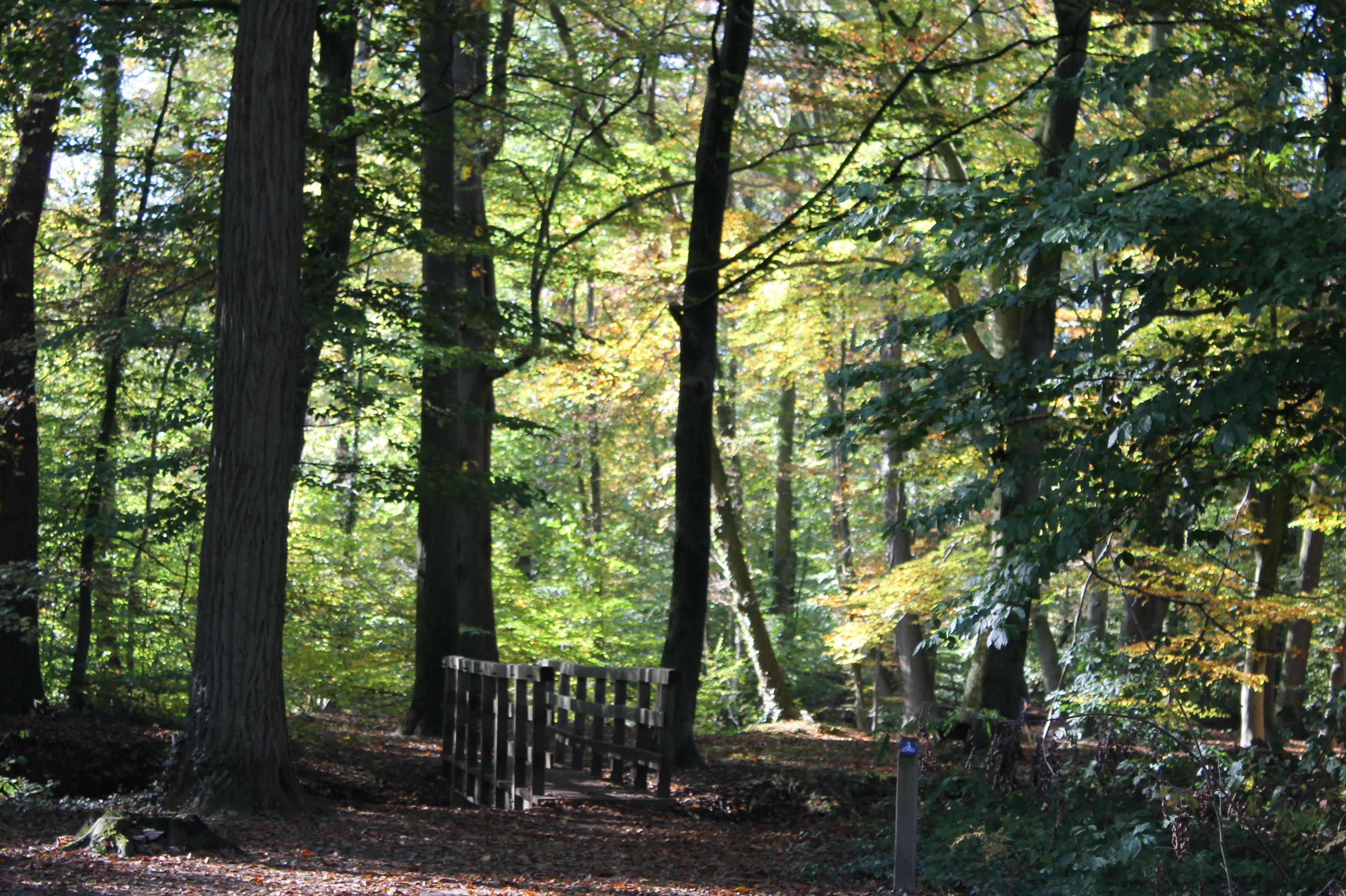 Omgeving