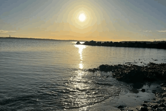 Omgeving
