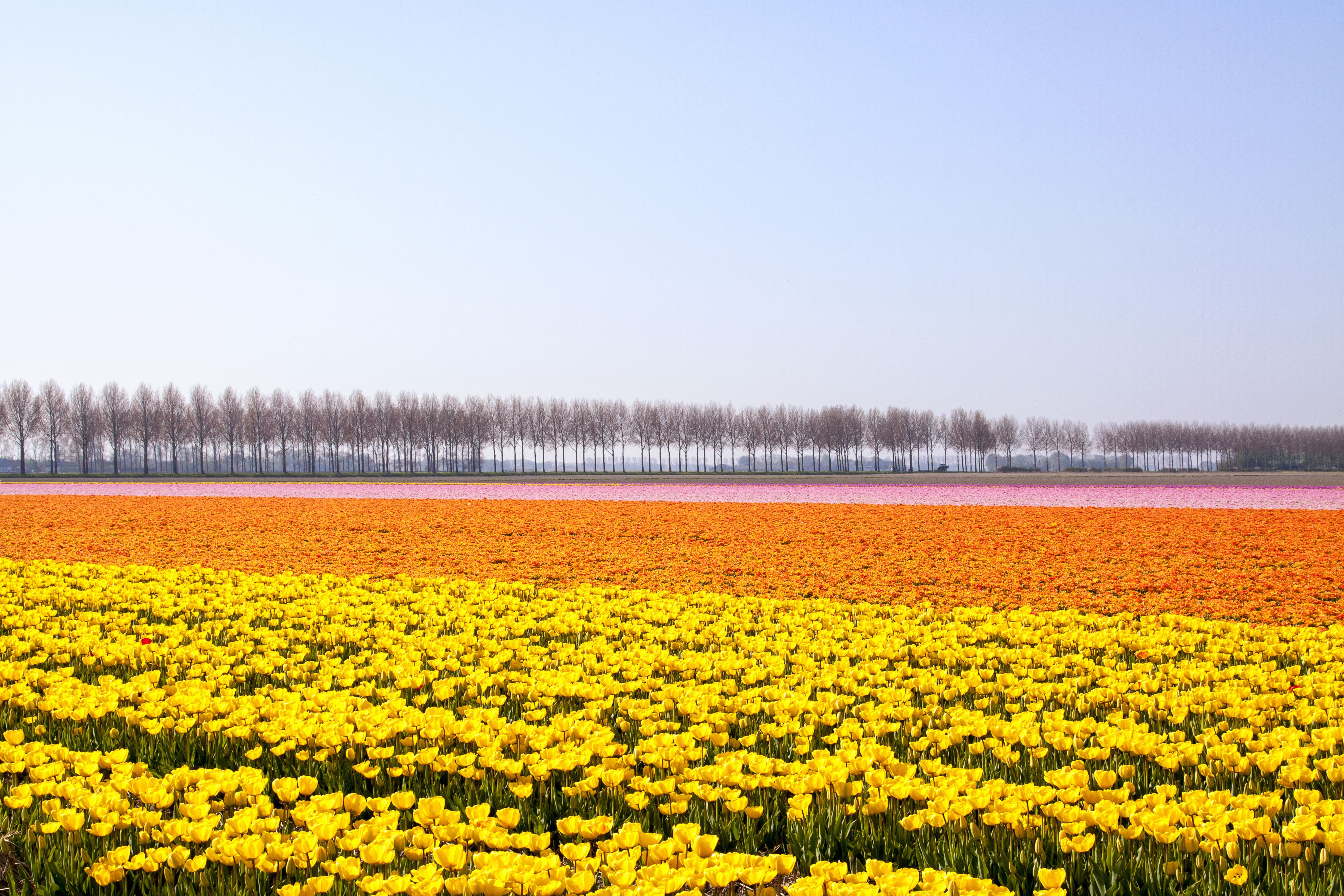 Omgeving