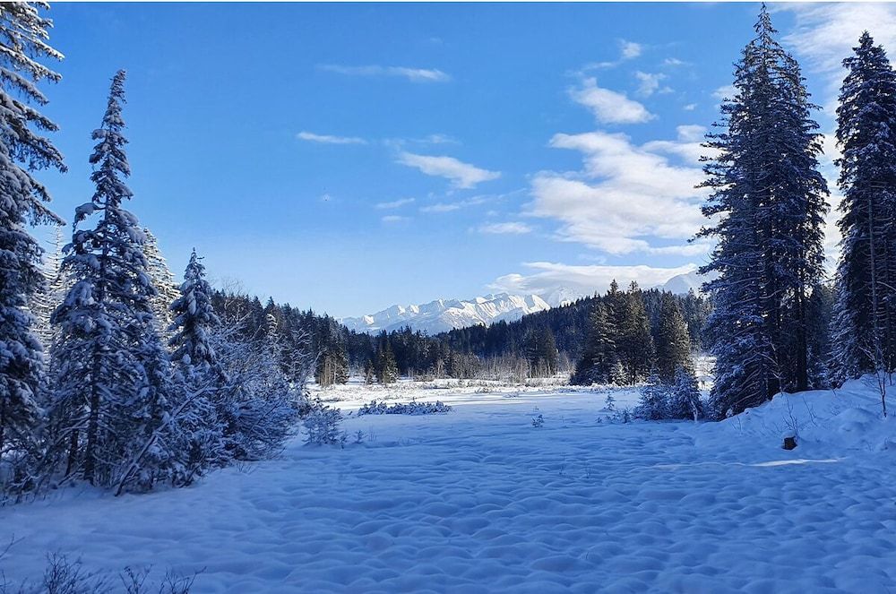 Algemeen