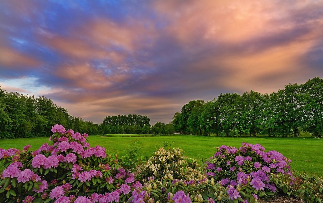 Omgeving