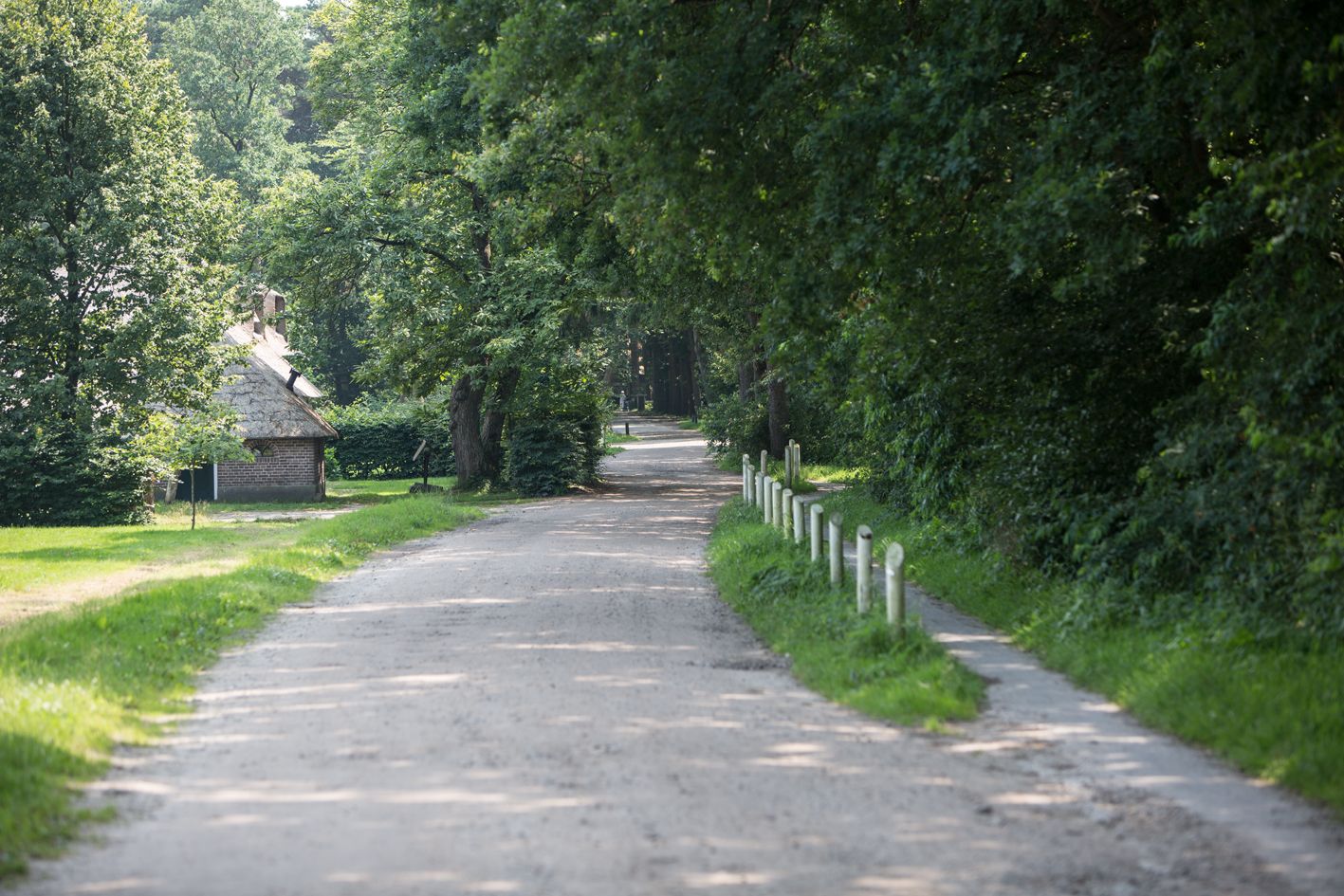 Omgeving