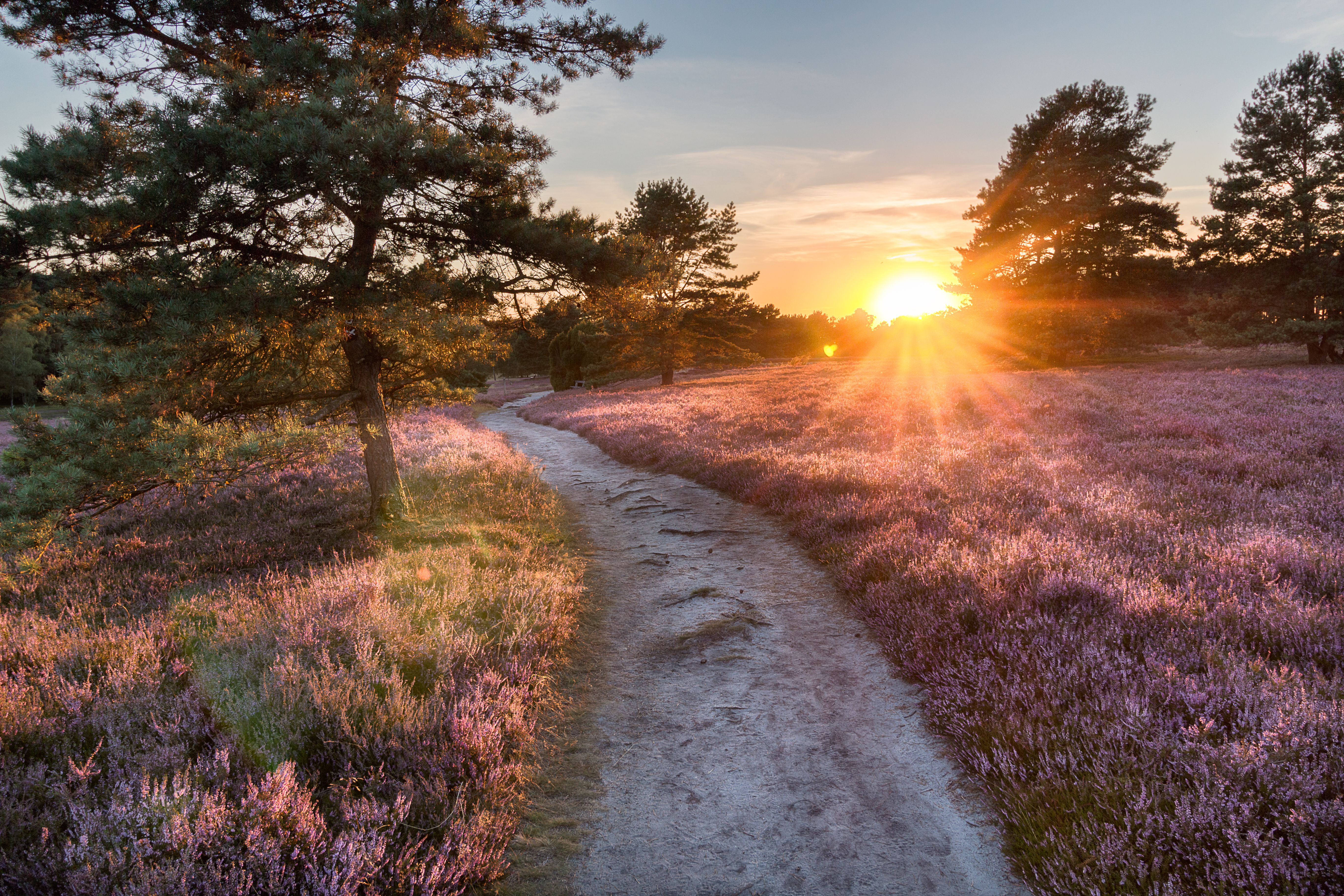 Omgeving