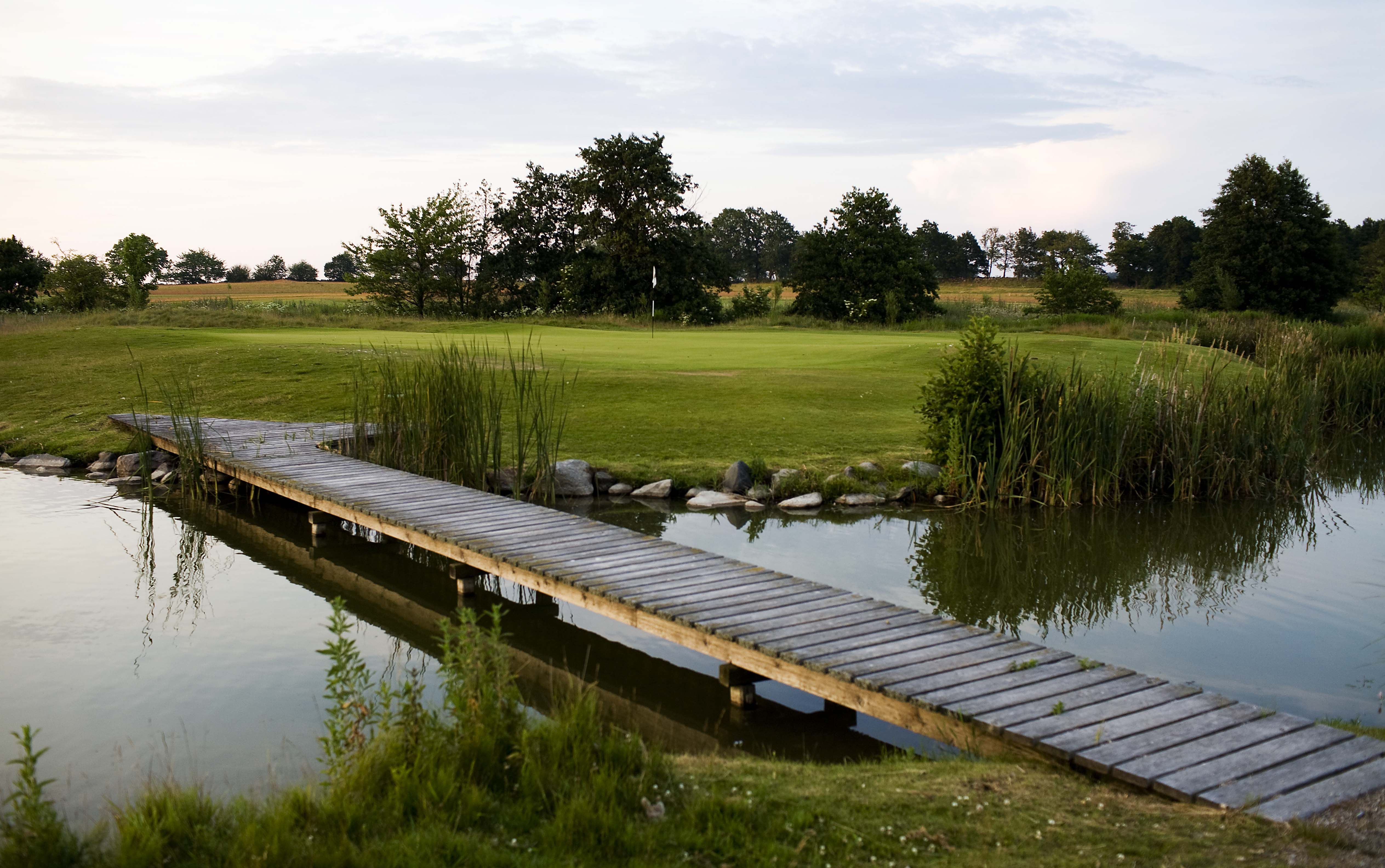 Omgeving