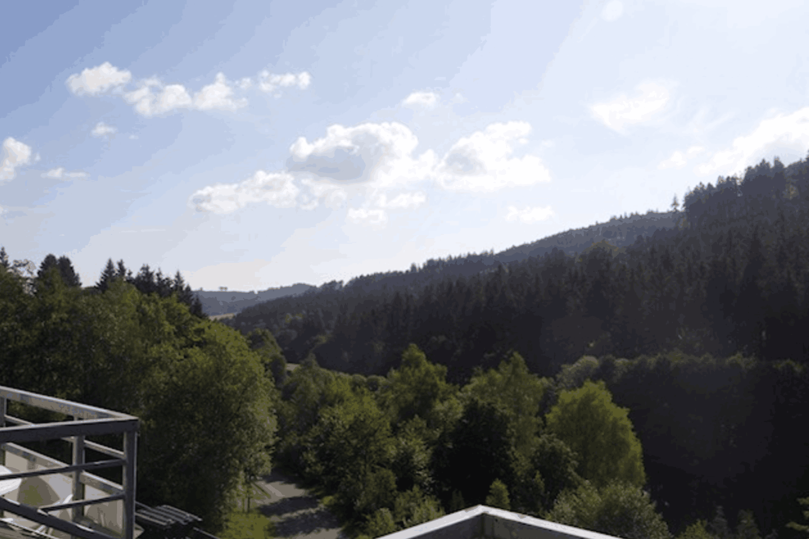 Omgeving