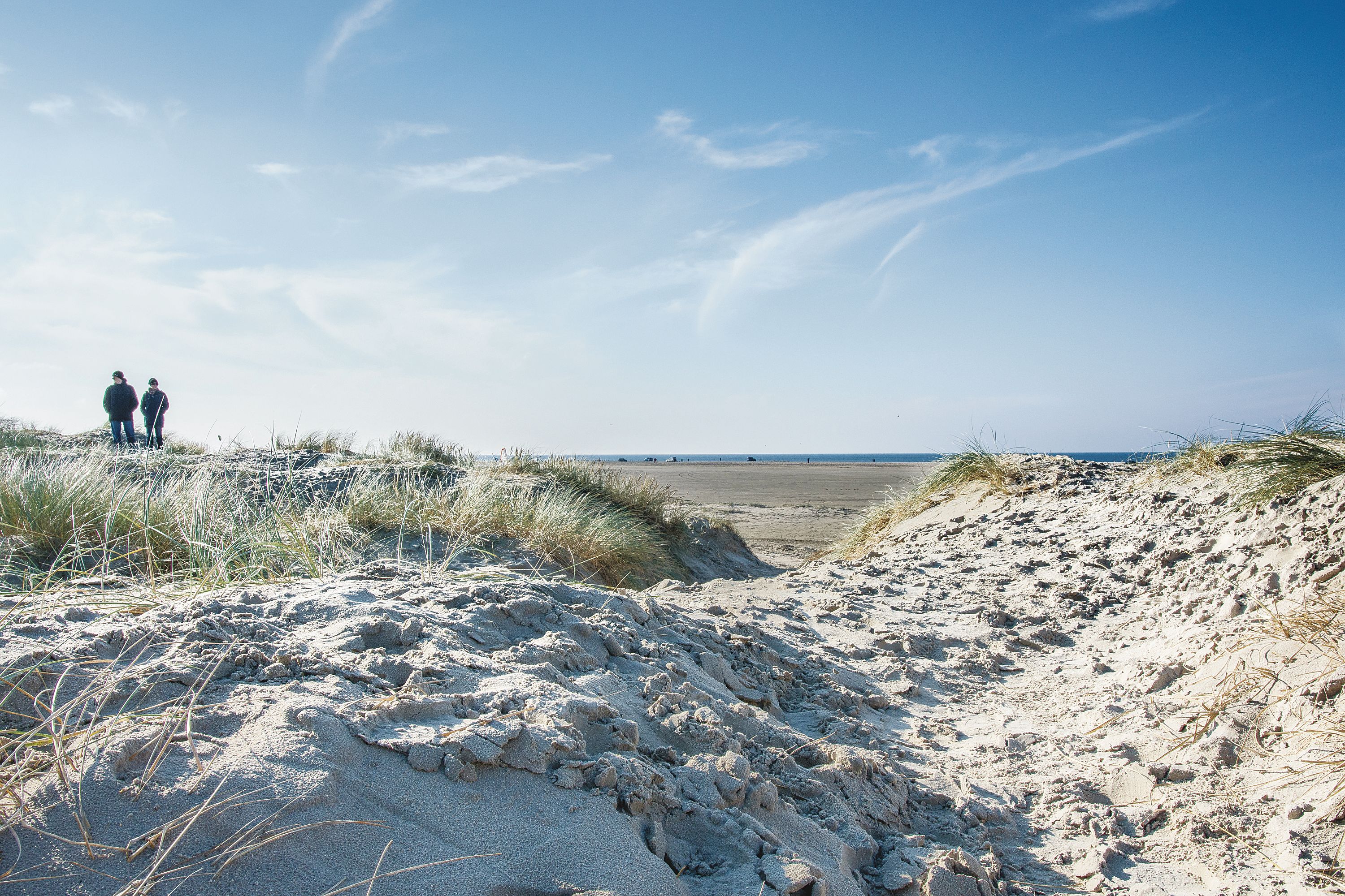 Omgeving