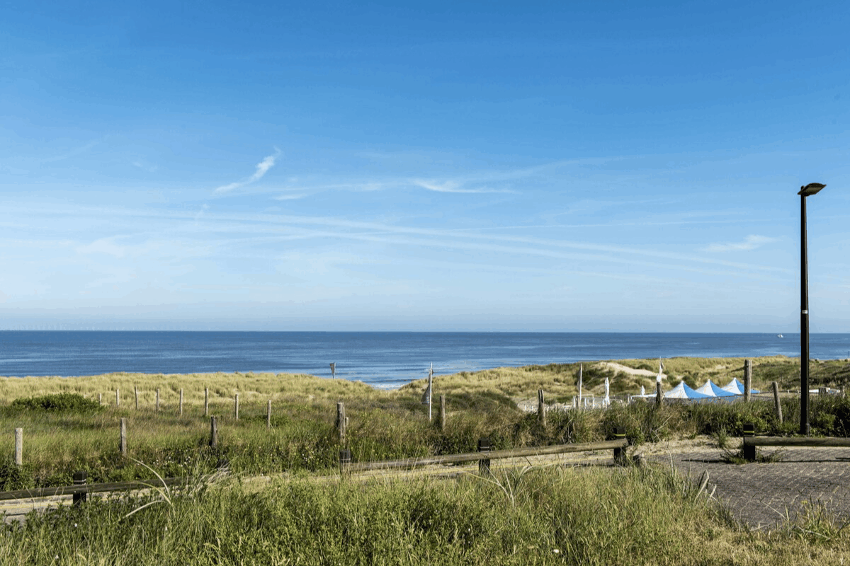 Omgeving