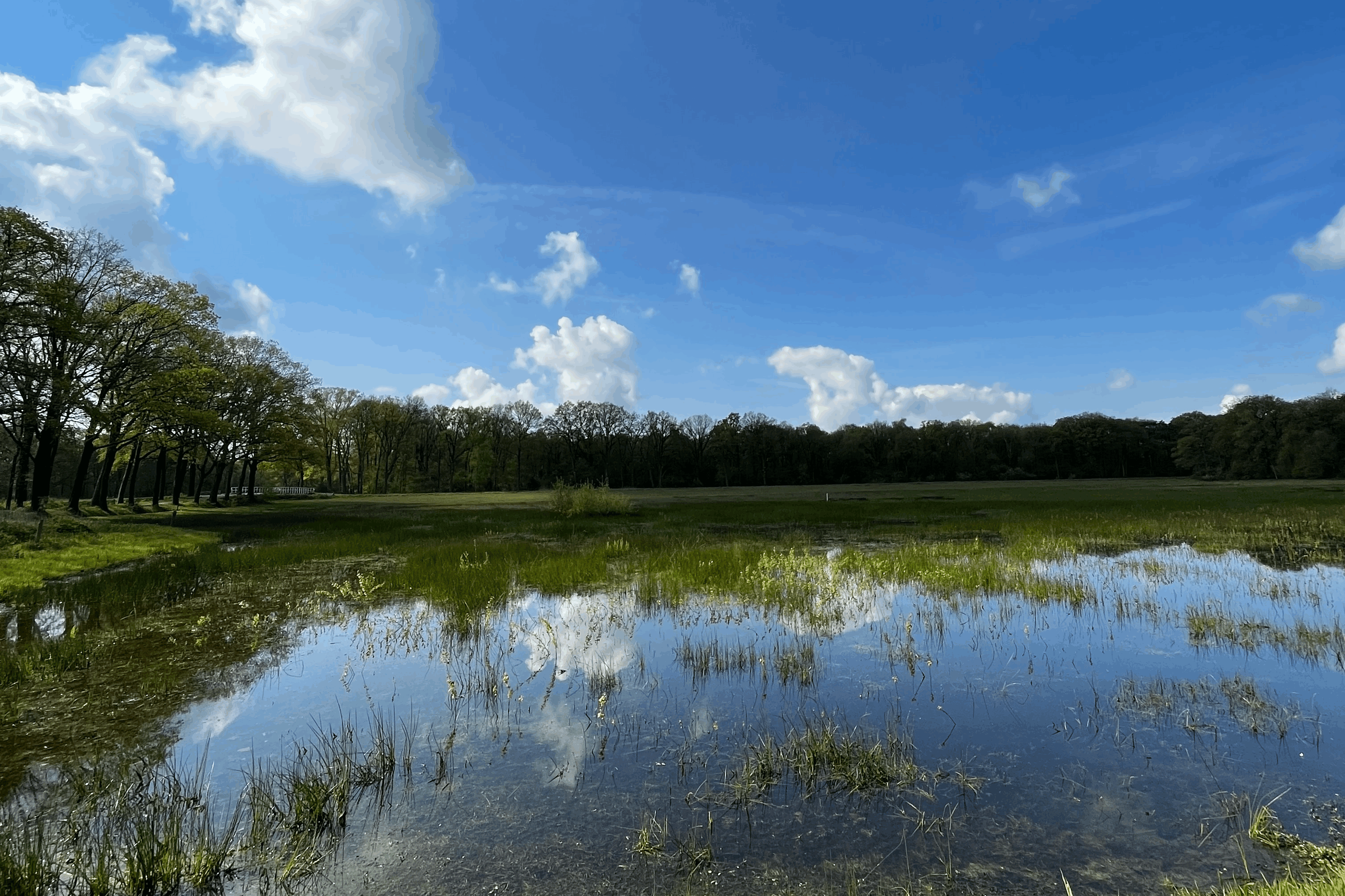 Omgeving