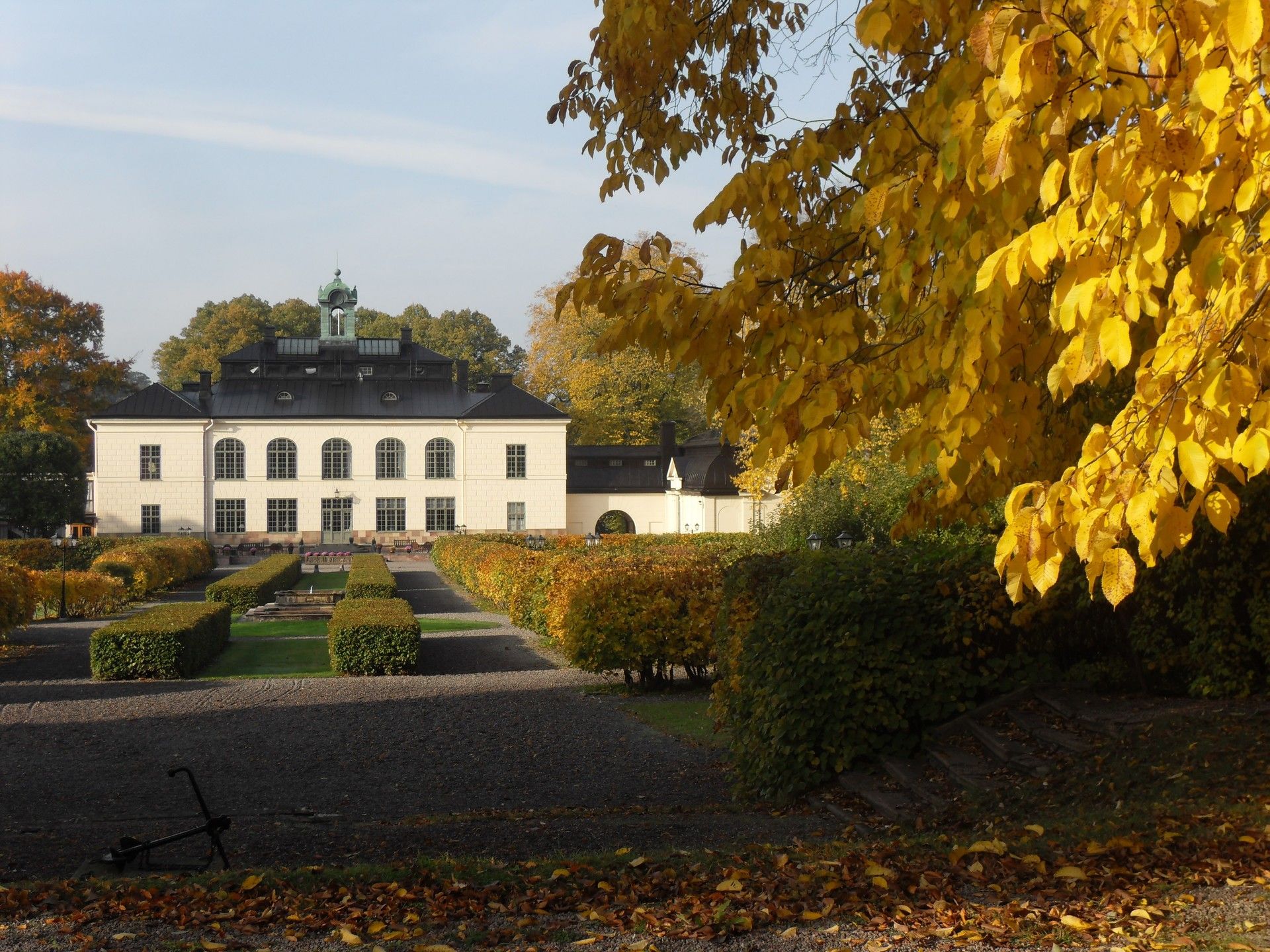 Omgeving