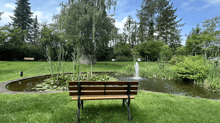 Omgeving