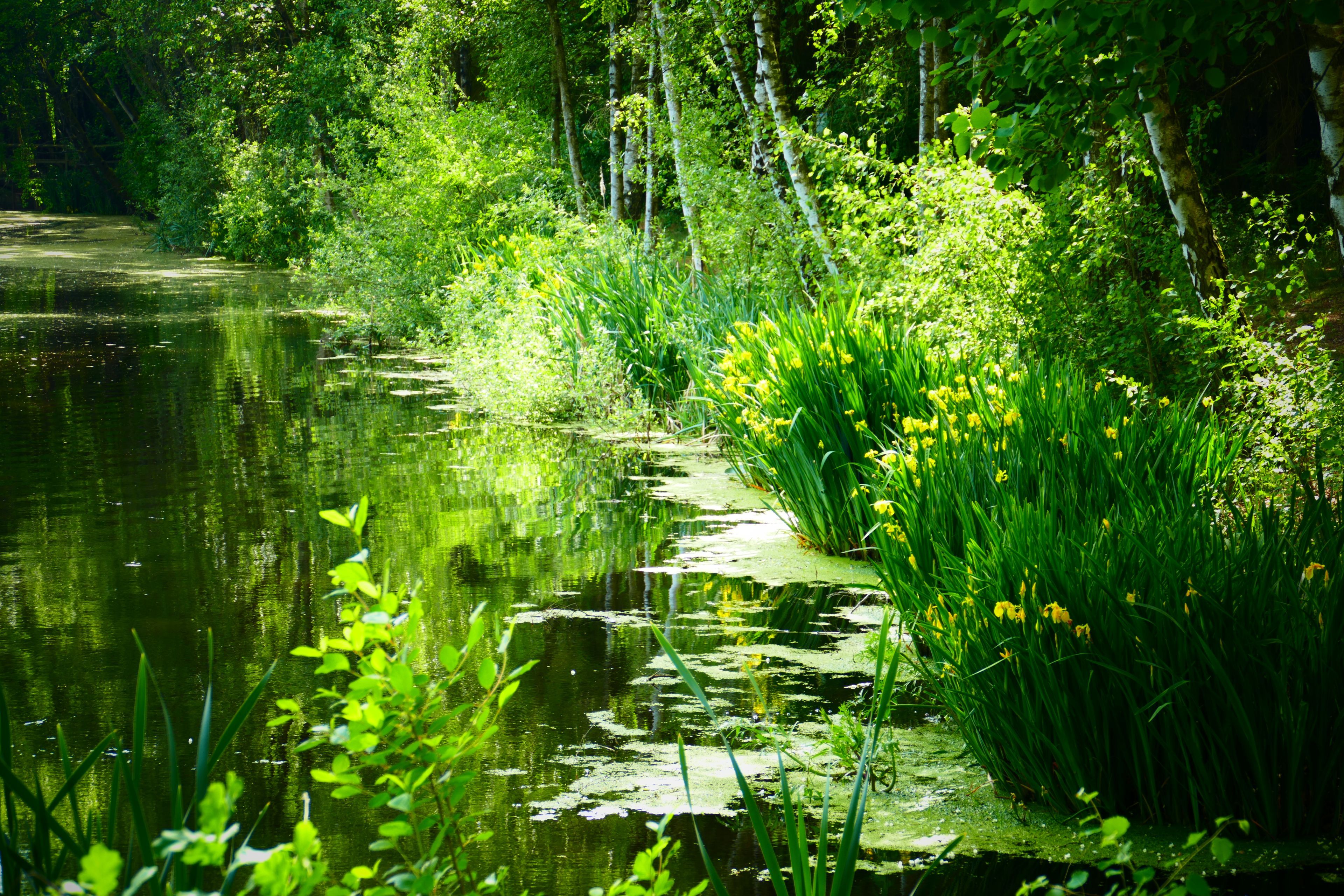 Omgeving