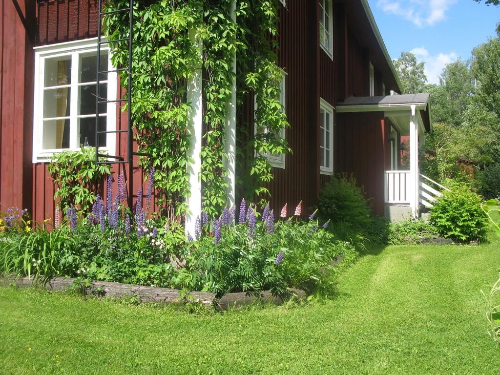 Omgeving