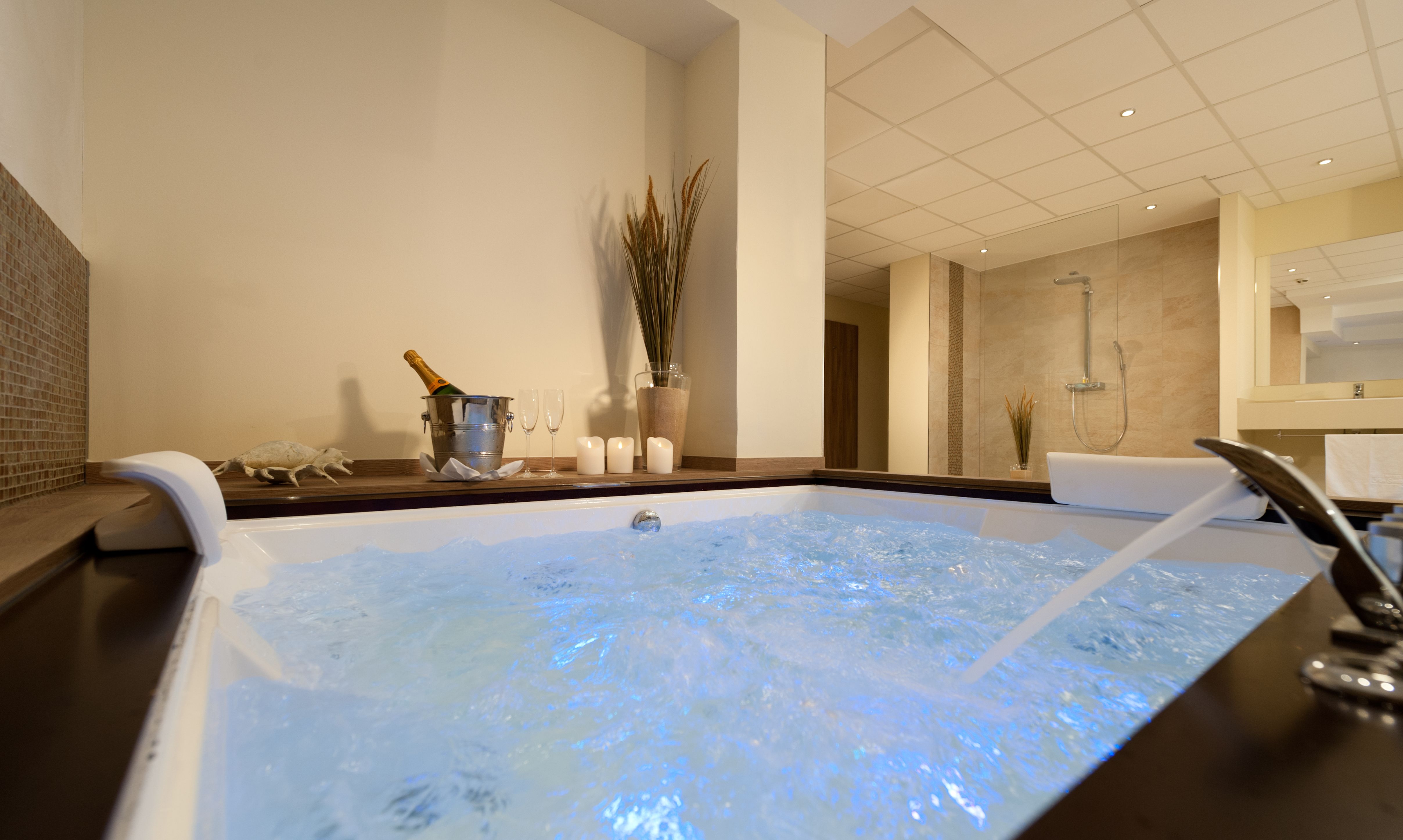 Wellness
