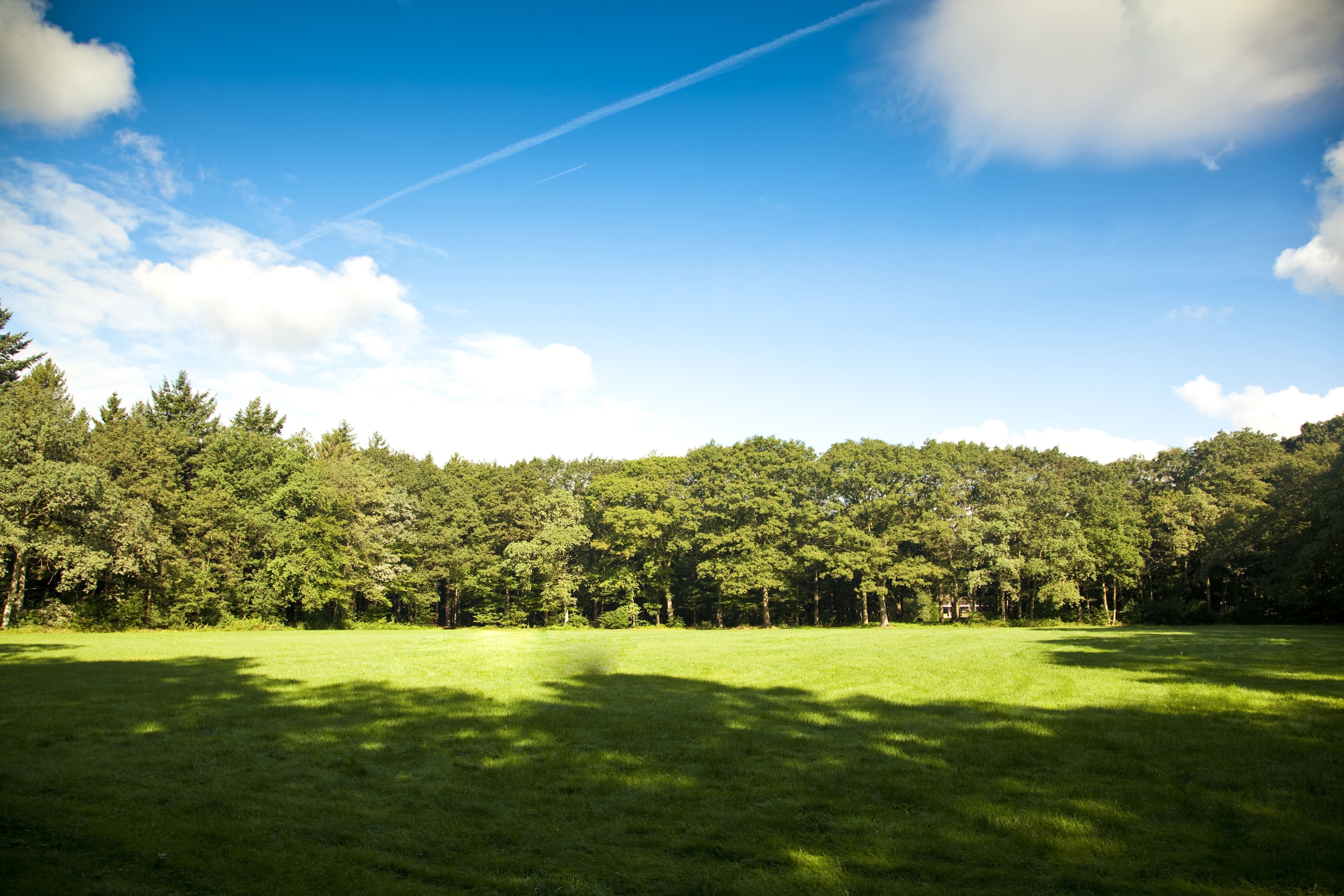 Omgeving