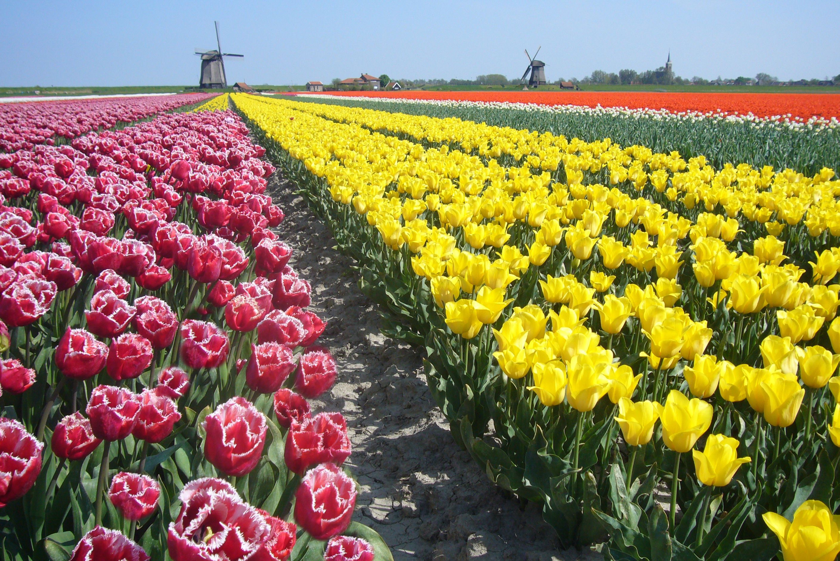 Omgeving