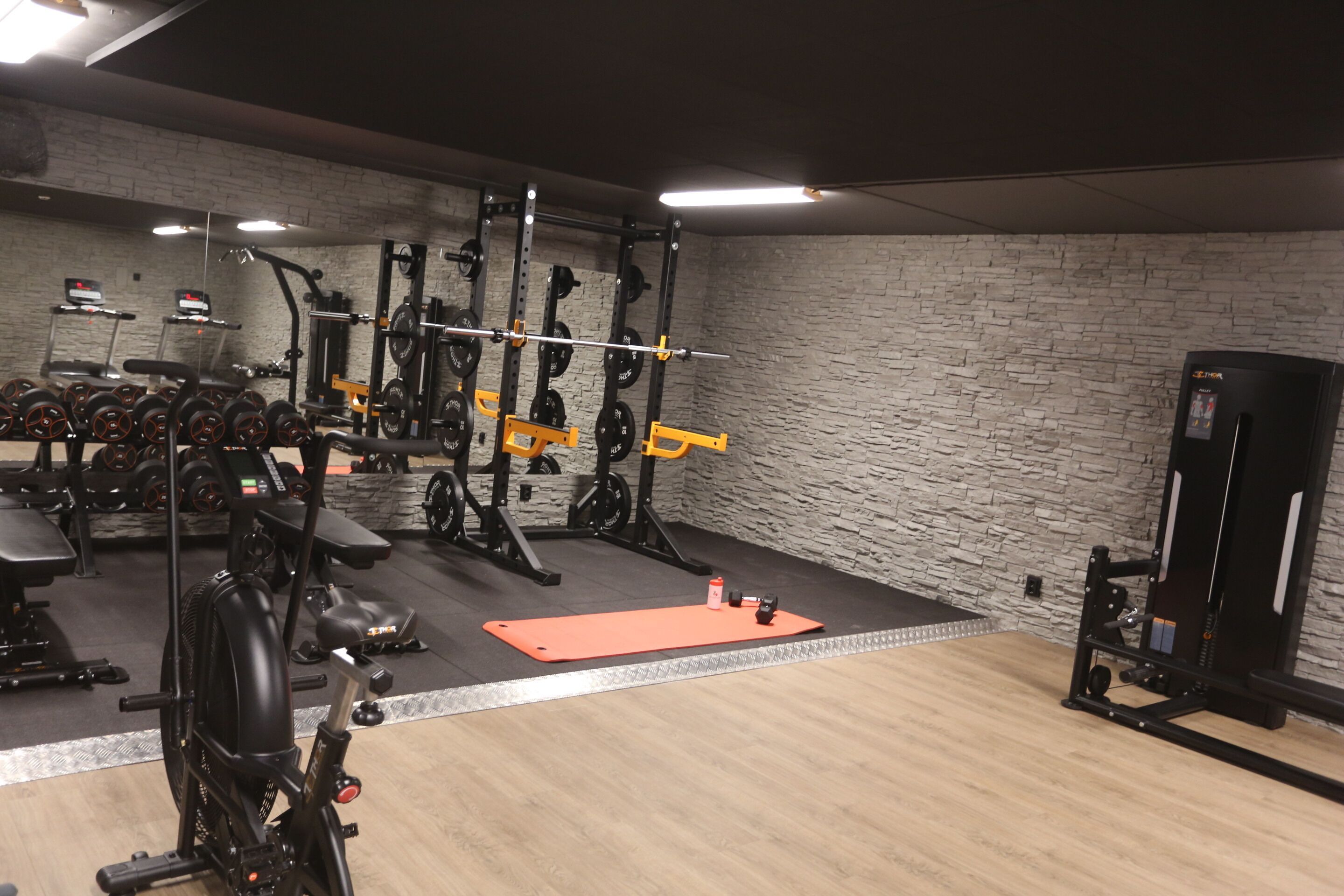 Wellness