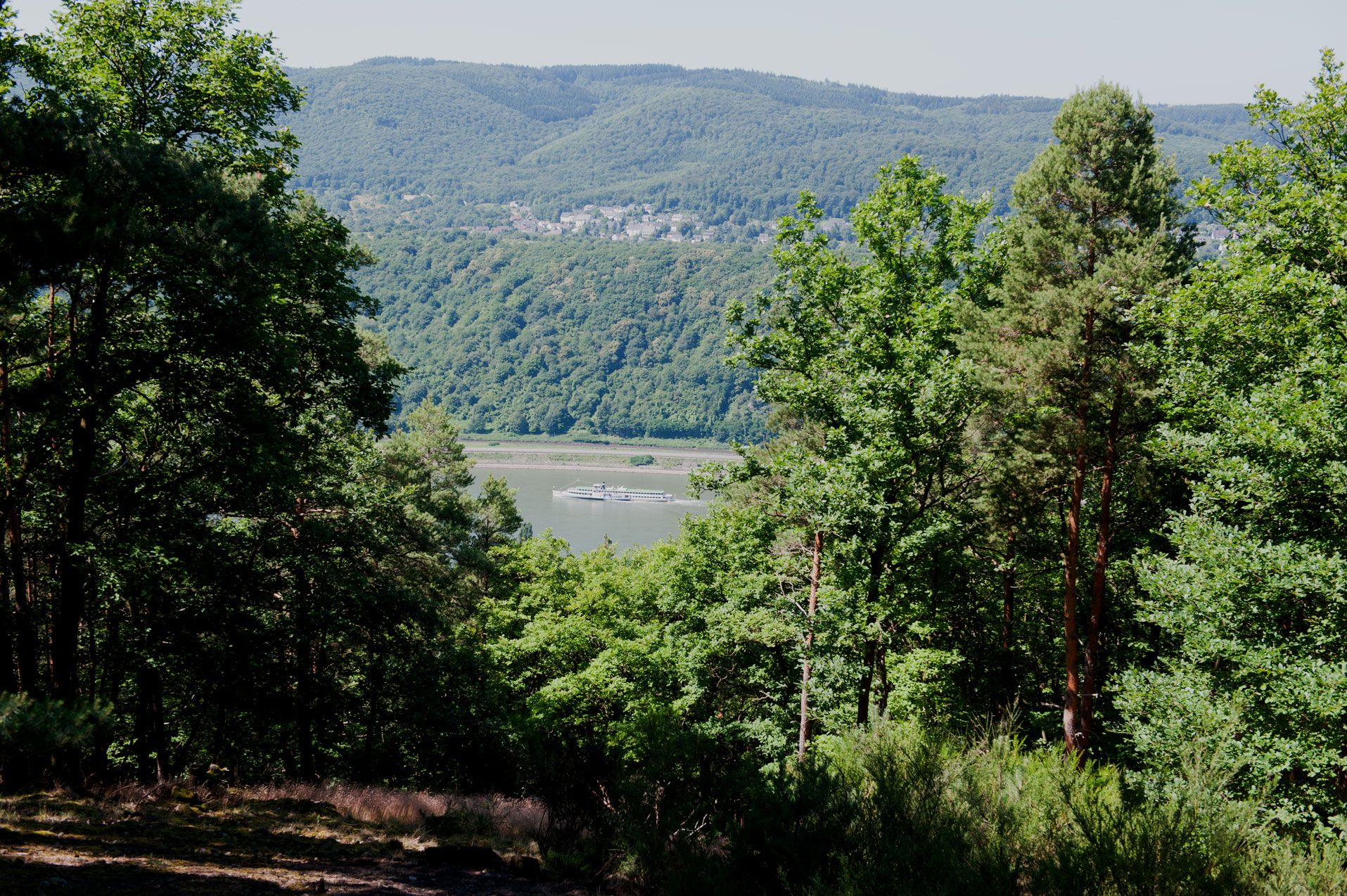 Omgeving