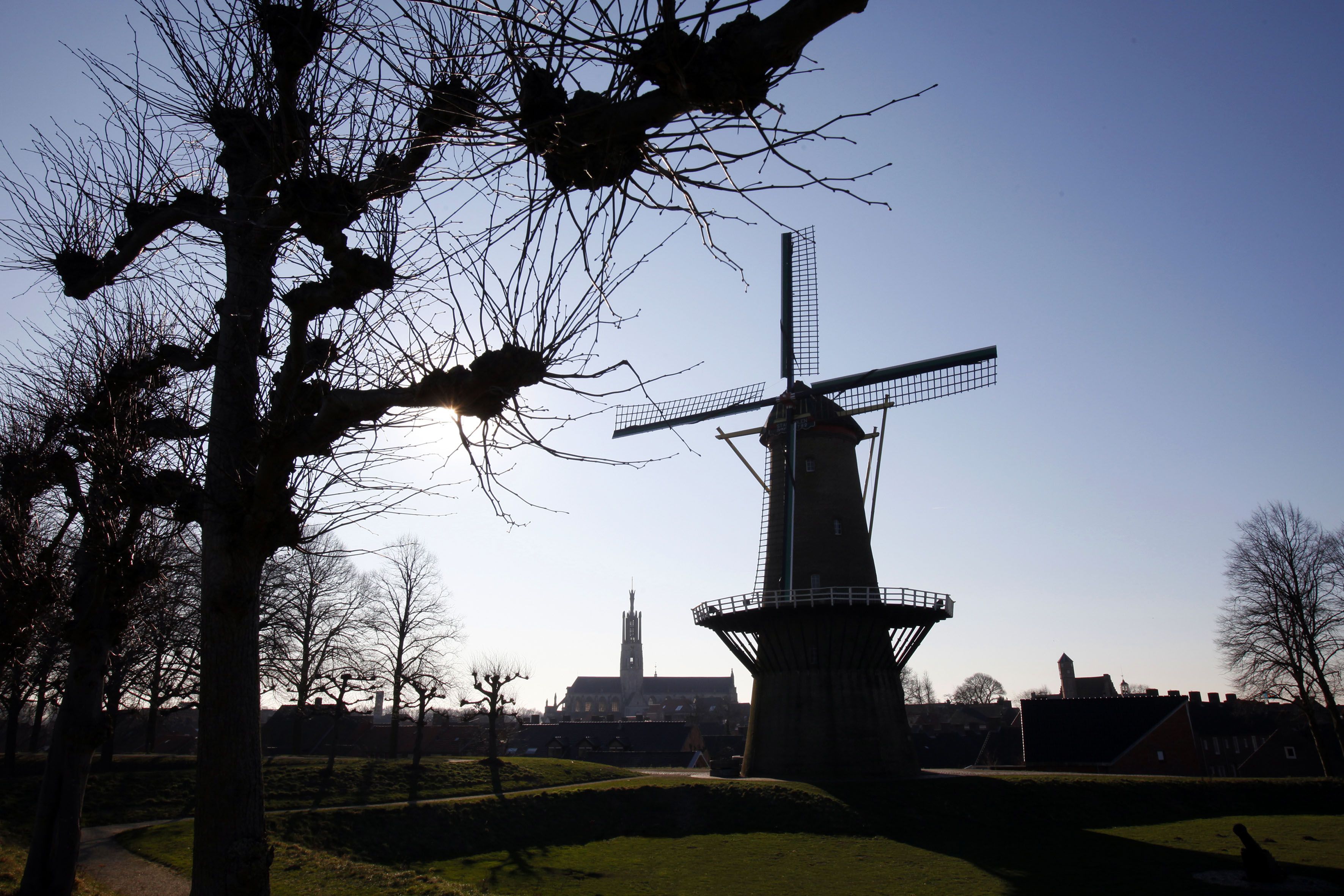 Omgeving