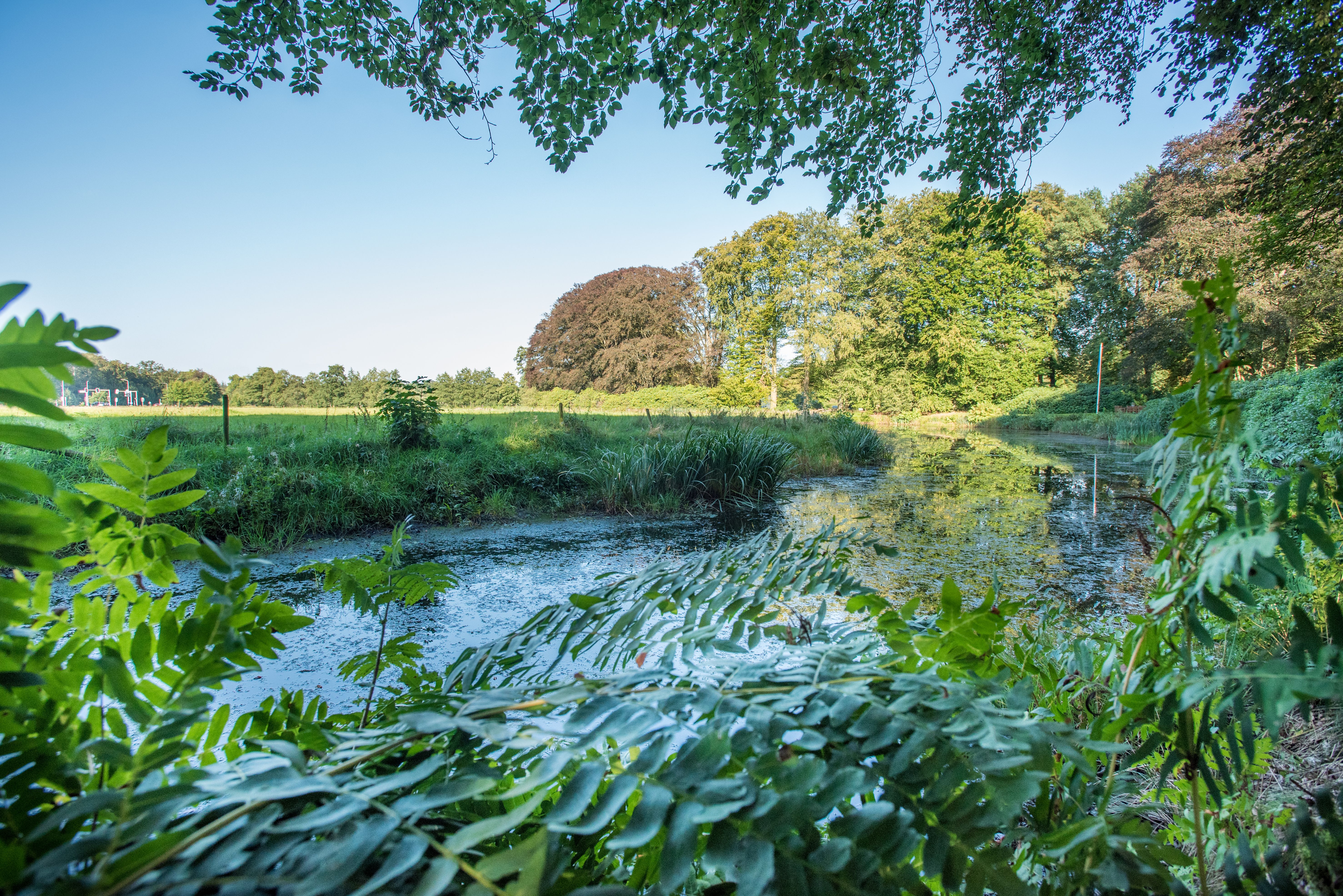 Omgeving