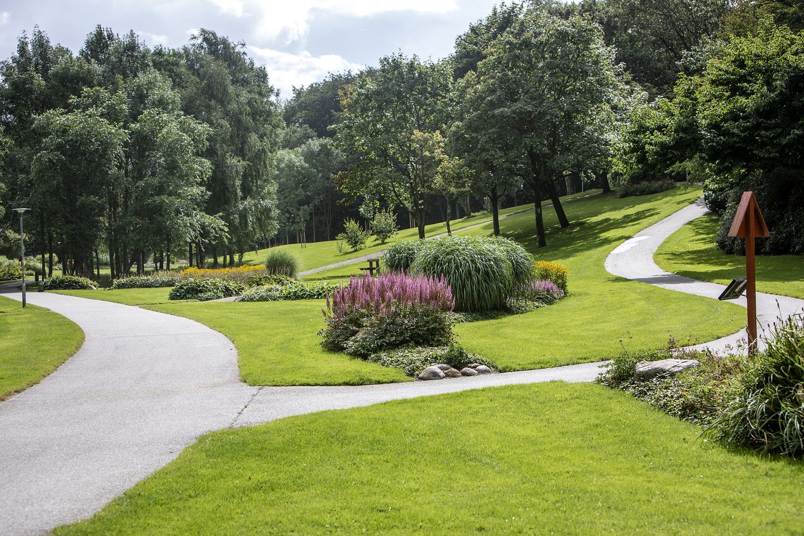 Omgeving