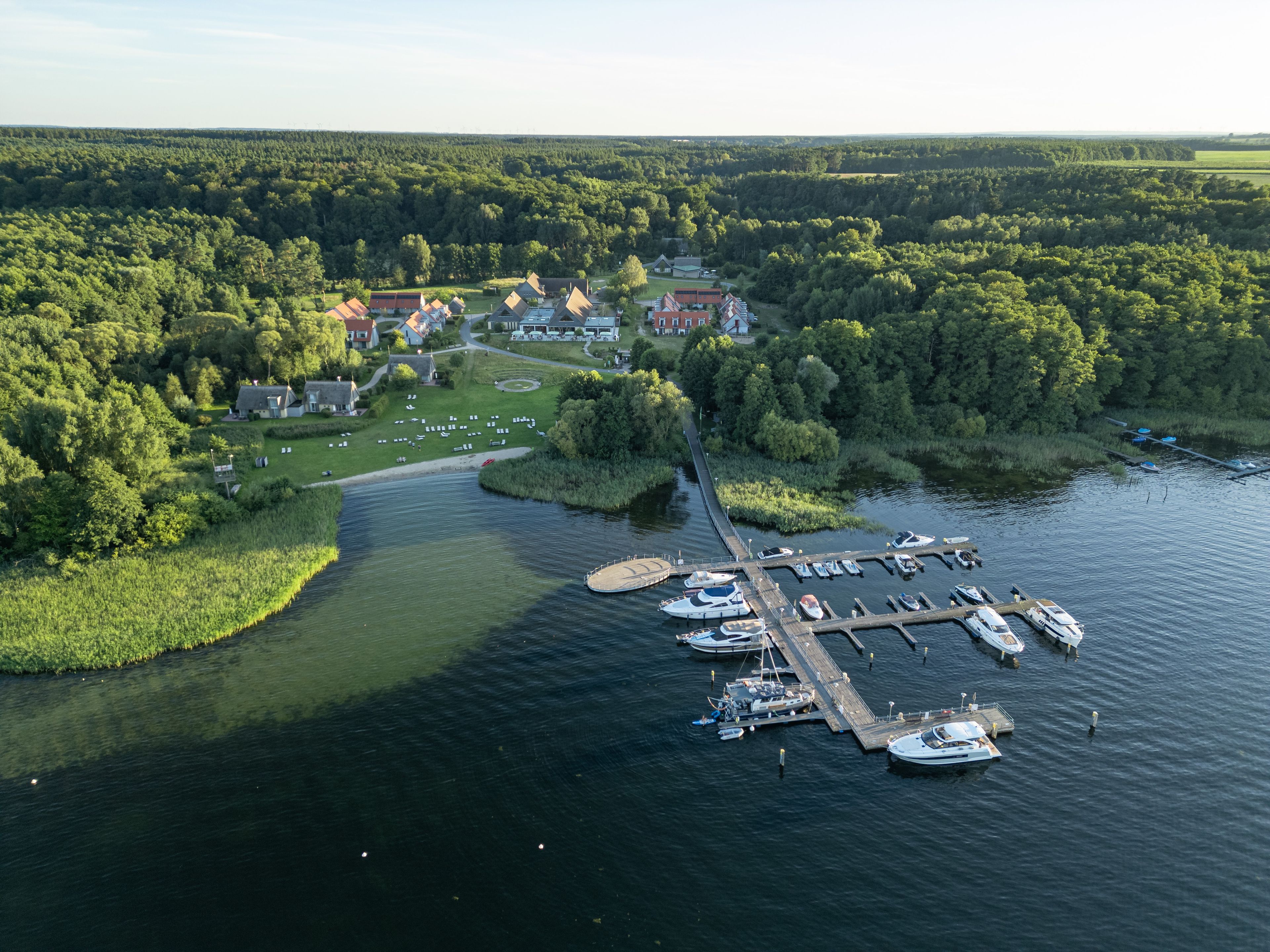 Omgeving