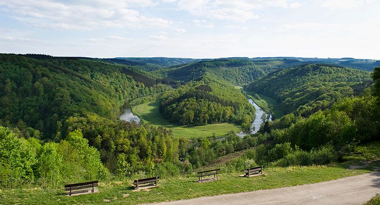 Omgeving